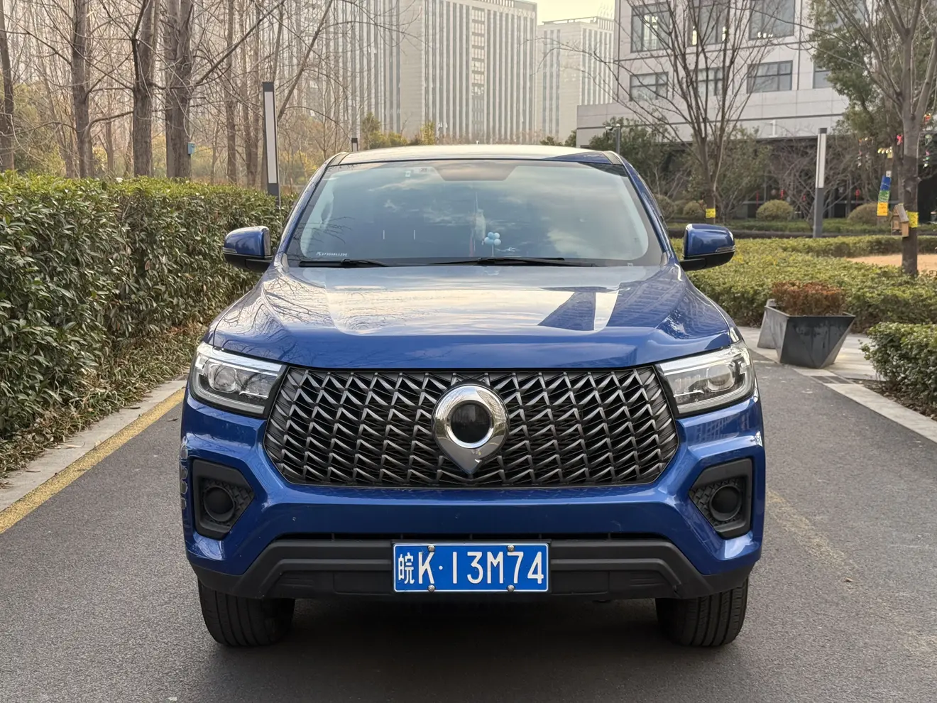 Great Wall Gun  из Китая