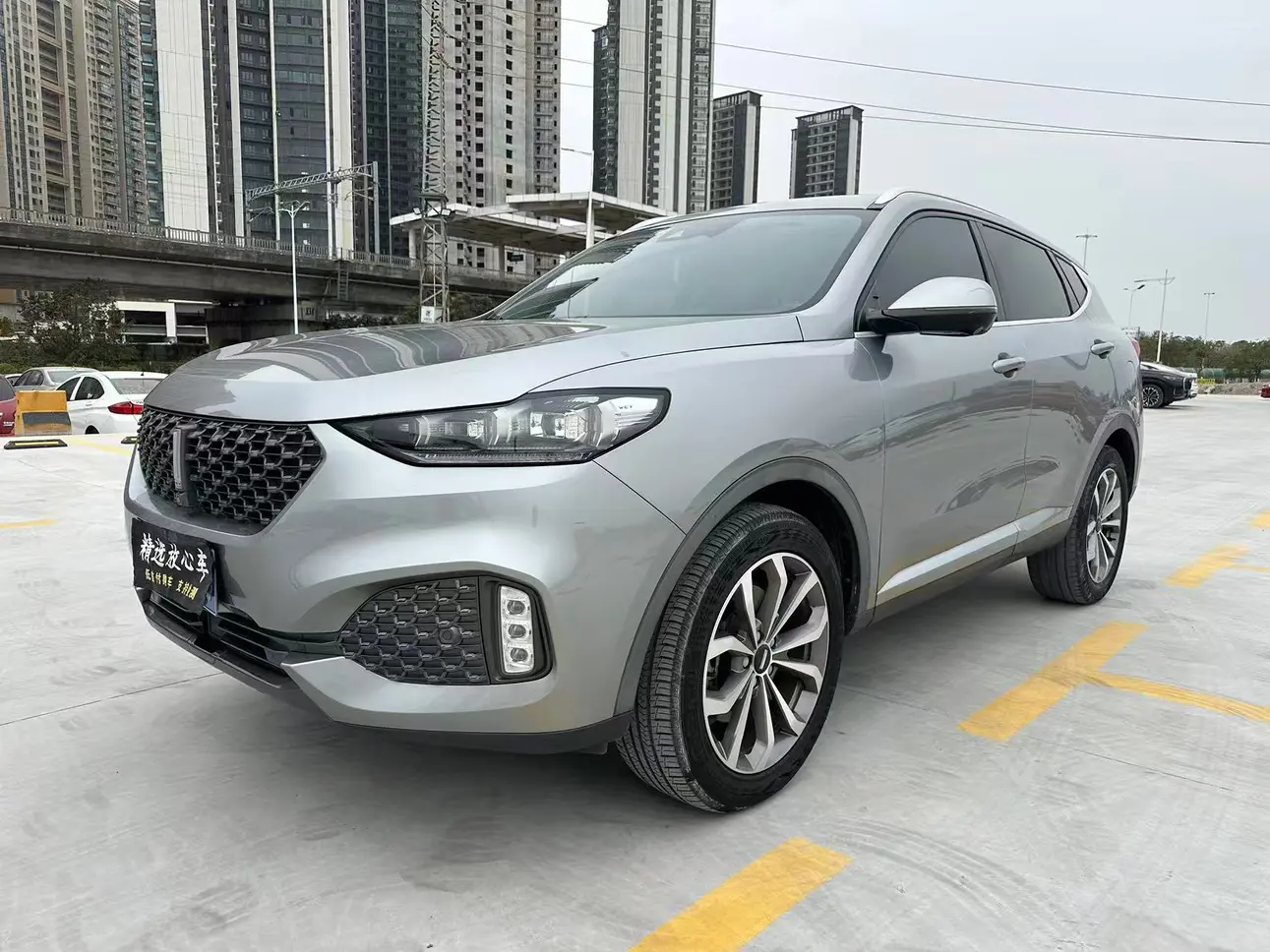 Wey Wei brand VV6  из Китая