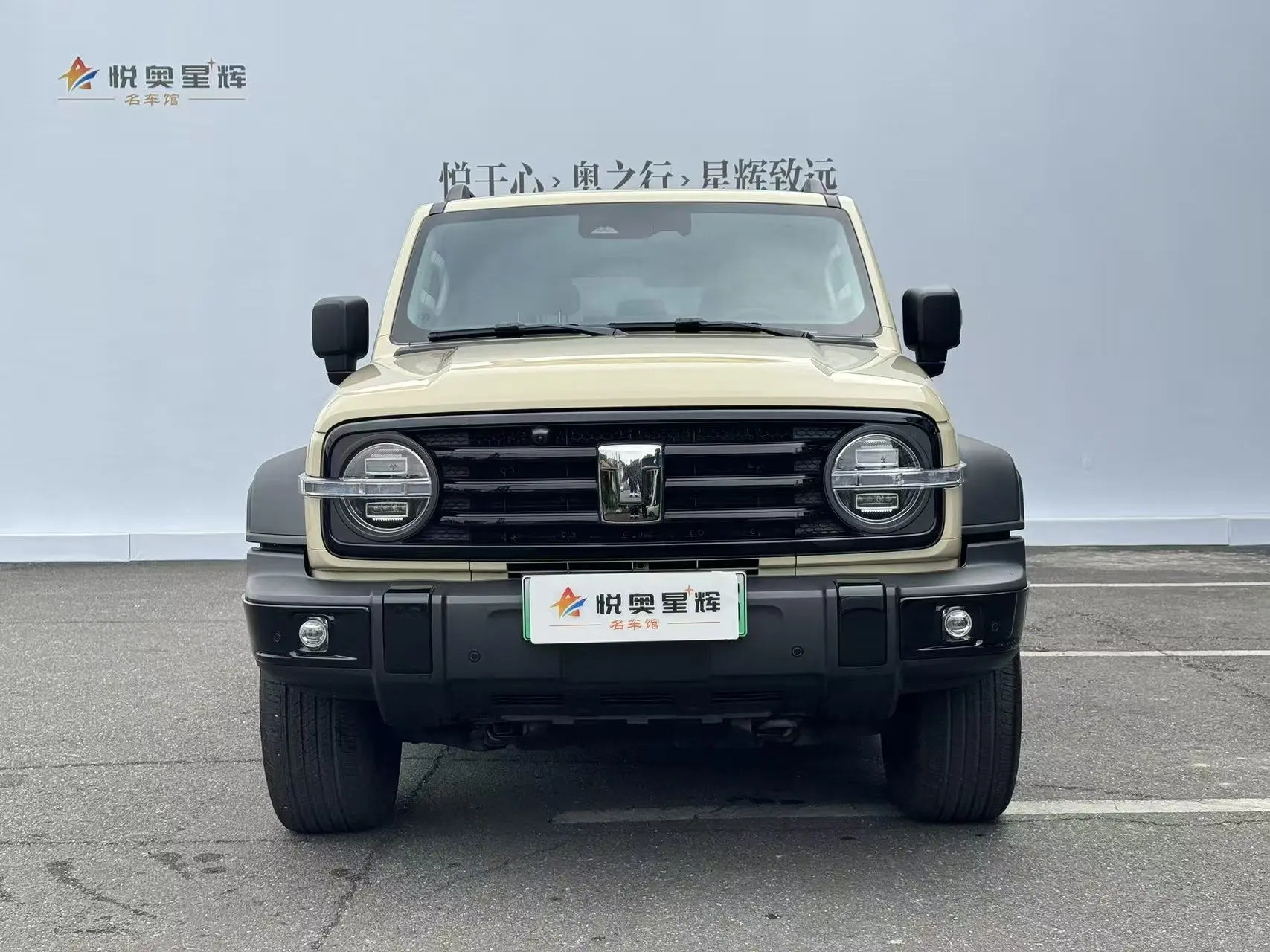 Tank 300 Hi4-T  из Китая