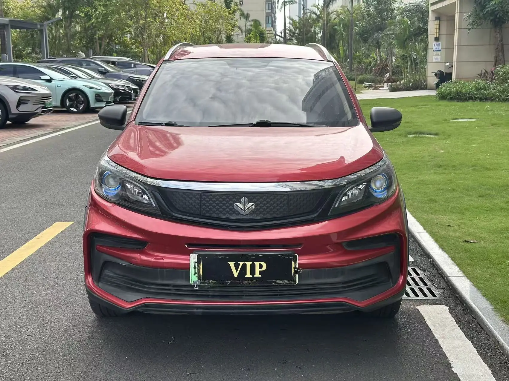 Ruilan Maple Leaf 30X  из Китая