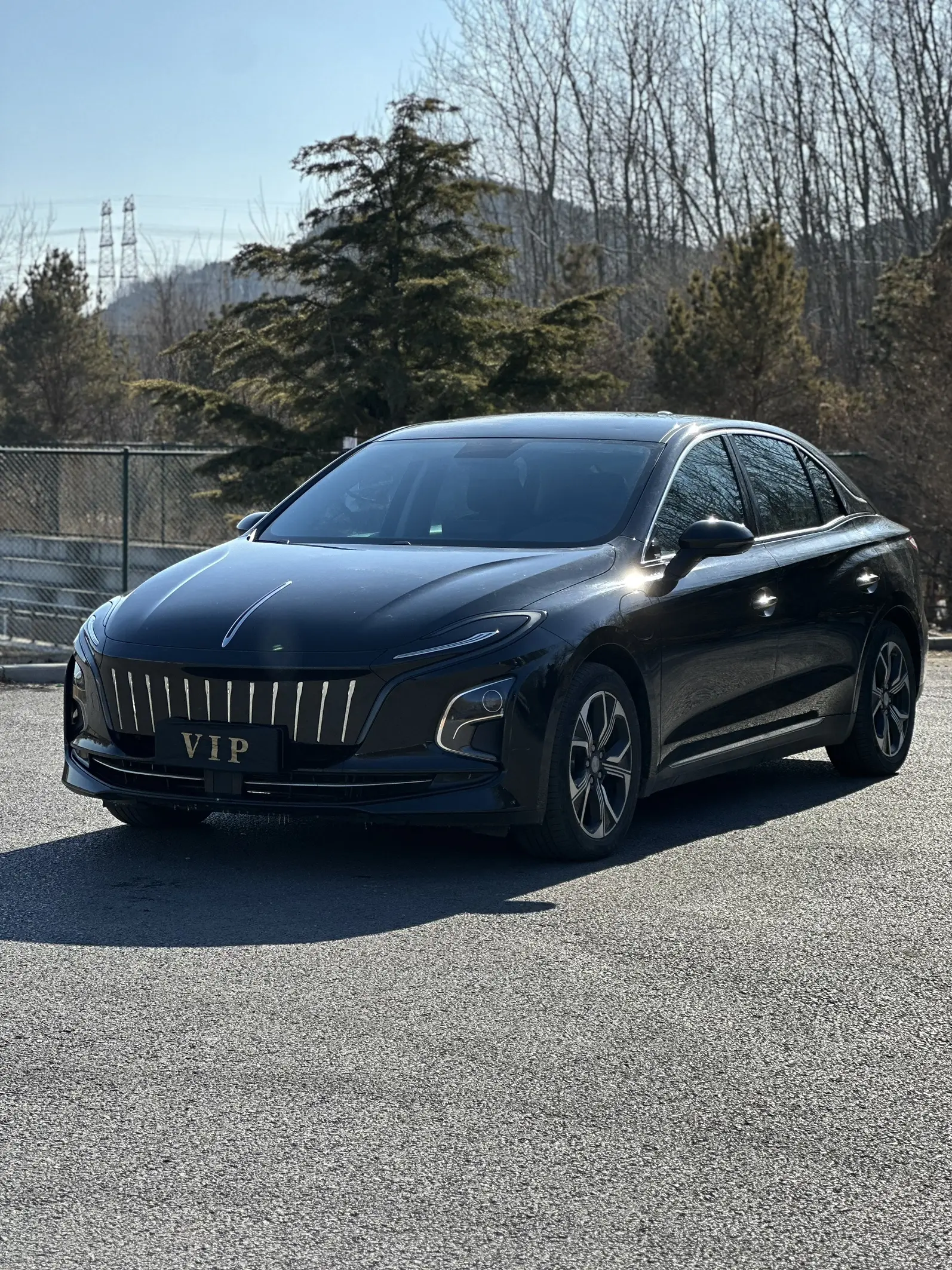 Hongqi E-QM5  из Китая