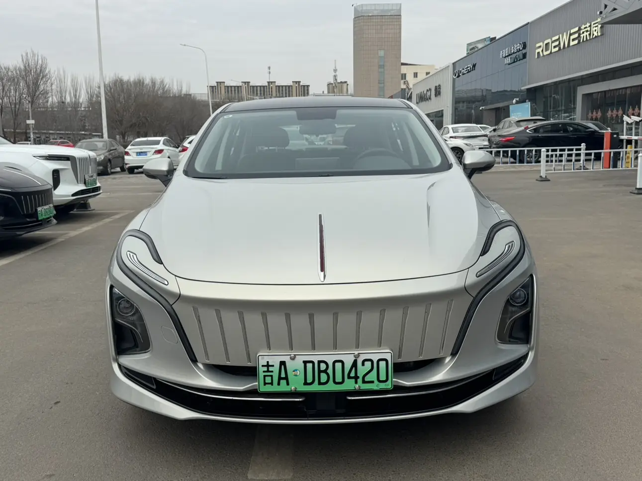 Hongqi E-QM5  из Китая