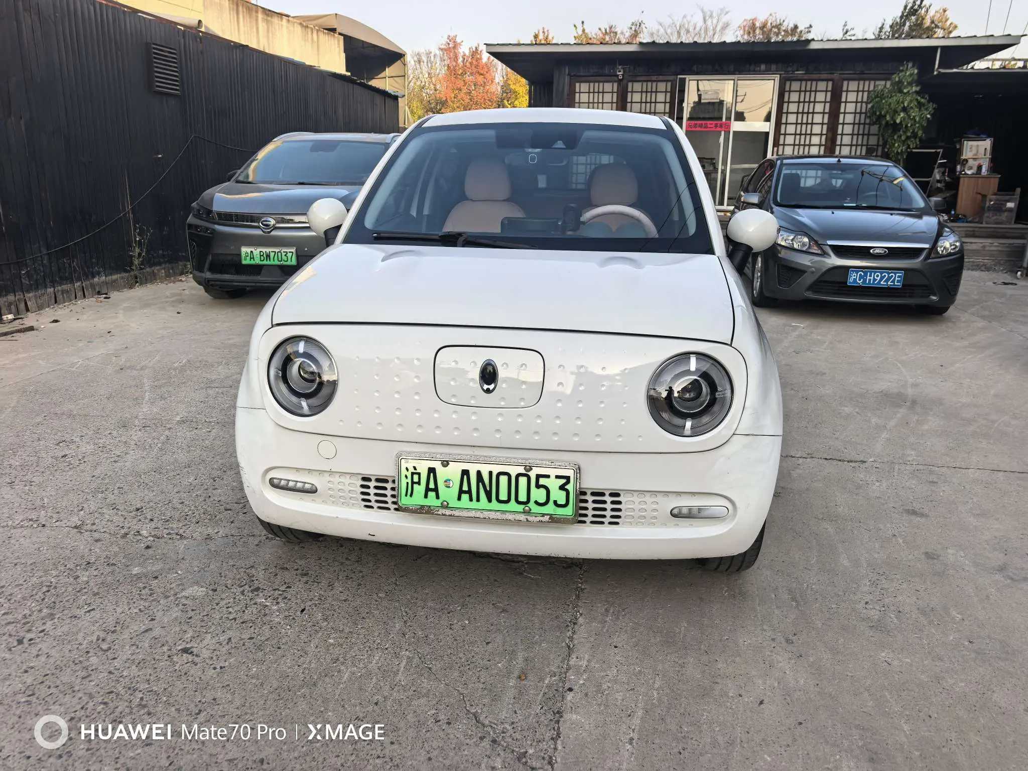 ORA Euler black cat  из Китая