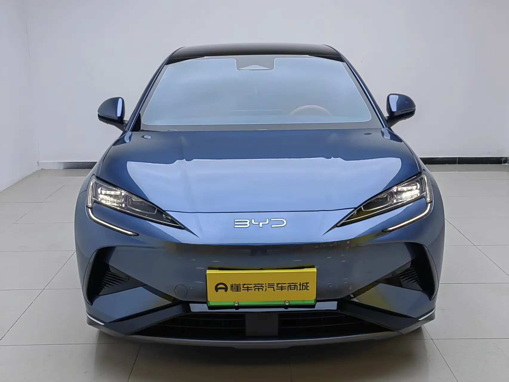 BYD Sea Lion 07EV  из Китая