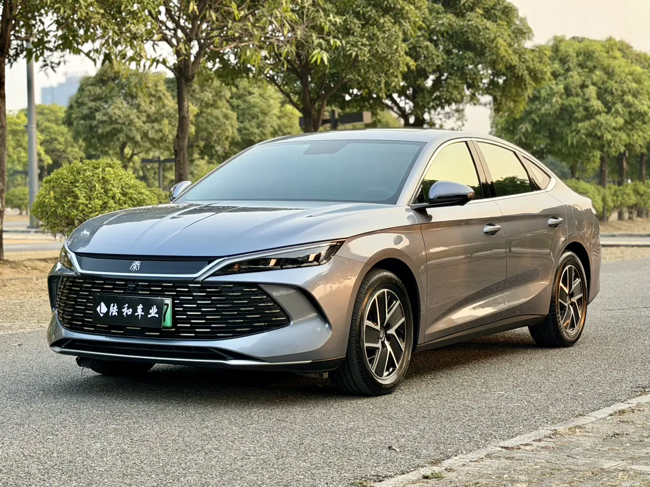 BYD Qin L DM  из Китая