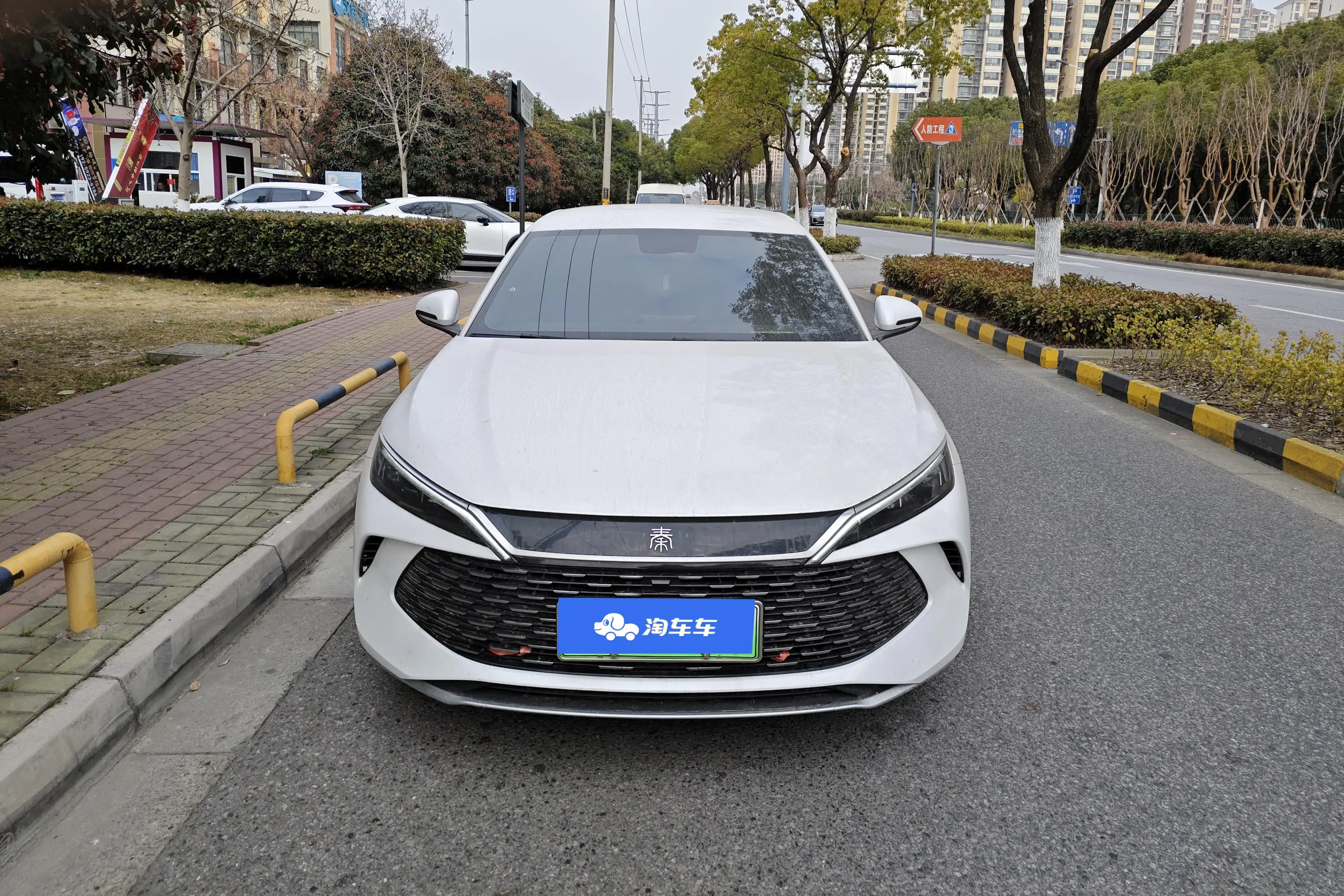 BYD Qin L DM  из Китая