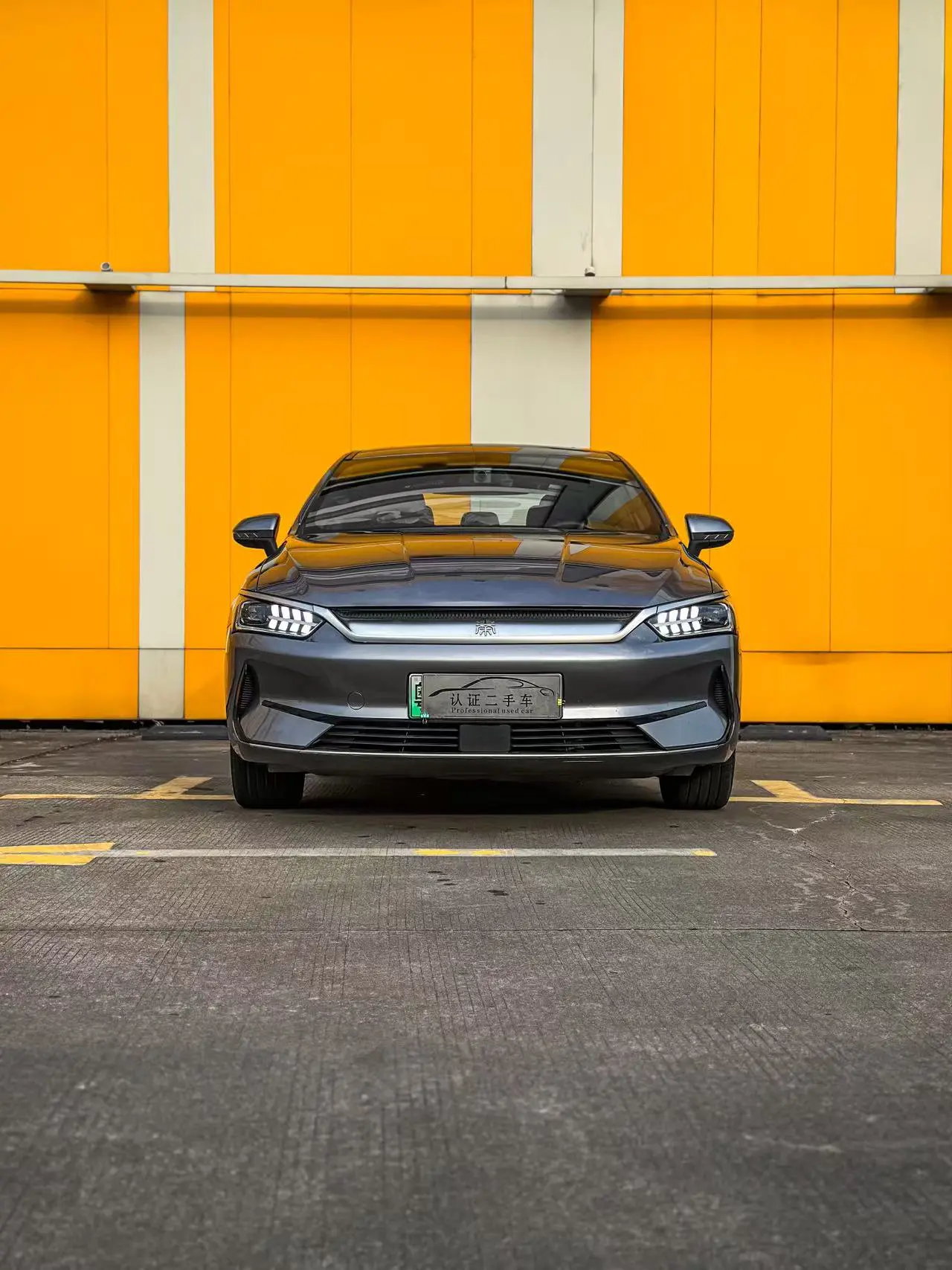 BYD Qin PLUS EV  из Китая