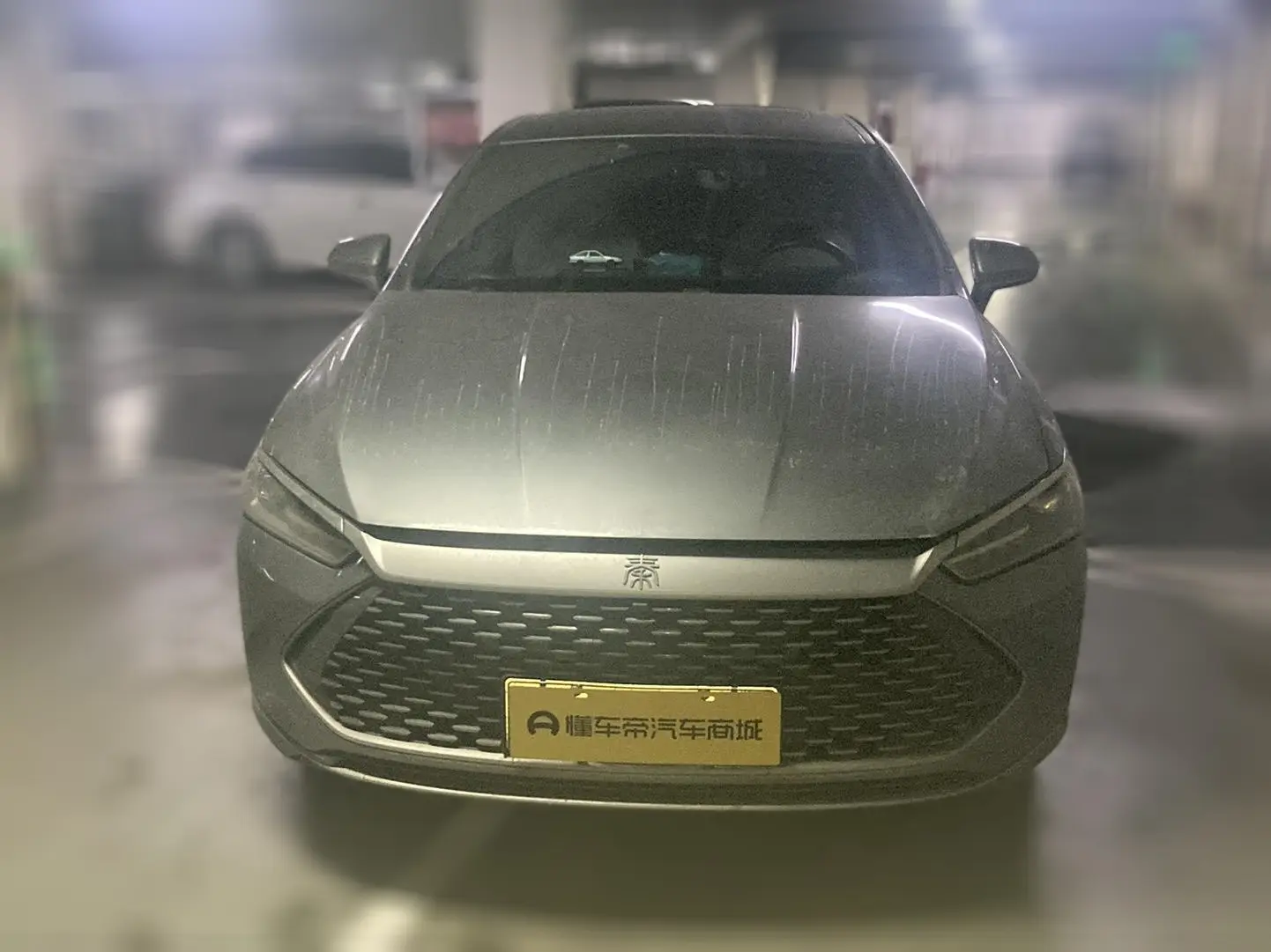 BYD Qin PLUS DM  из Китая