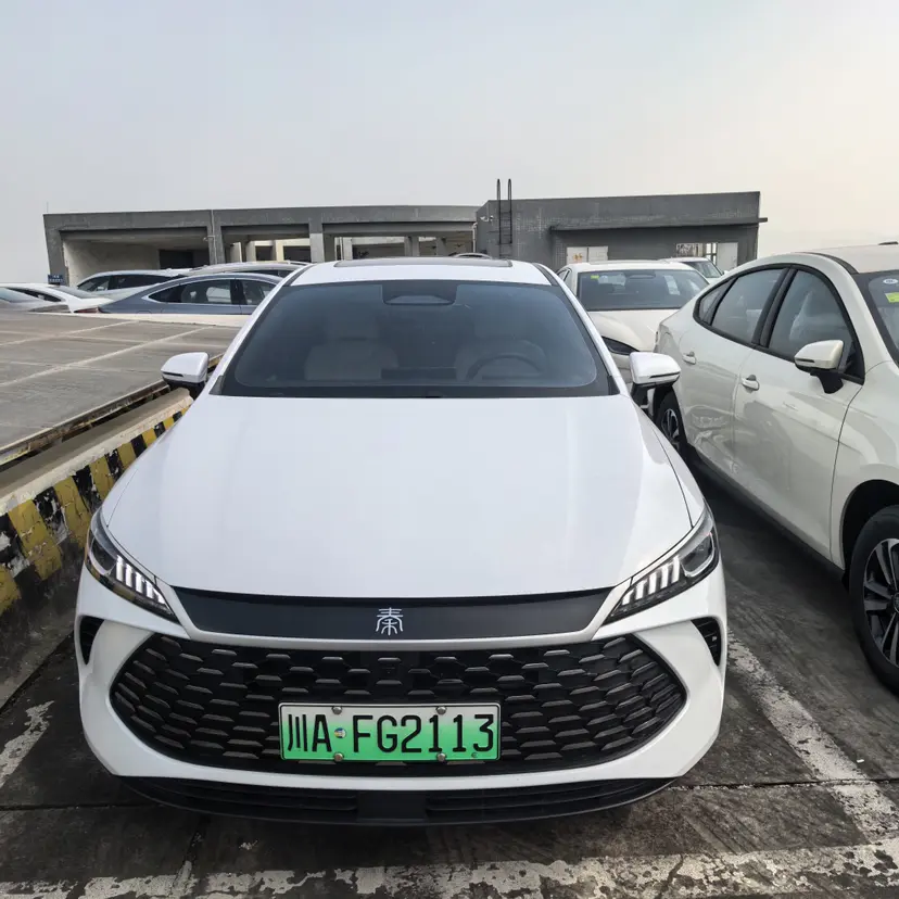 BYD Qin PLUS DM  из Китая