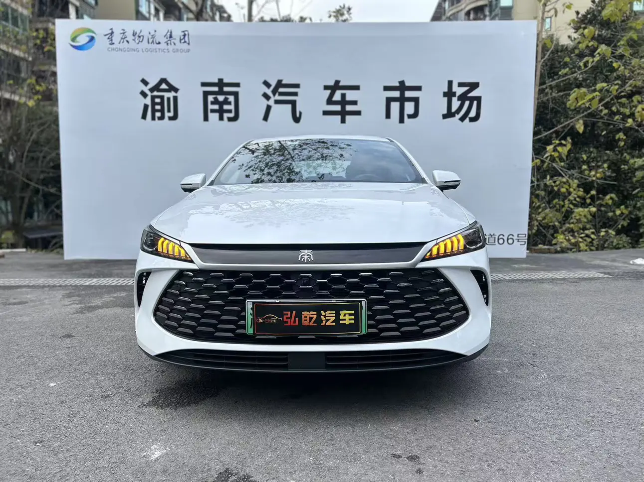 BYD Qin PLUS DM  из Китая