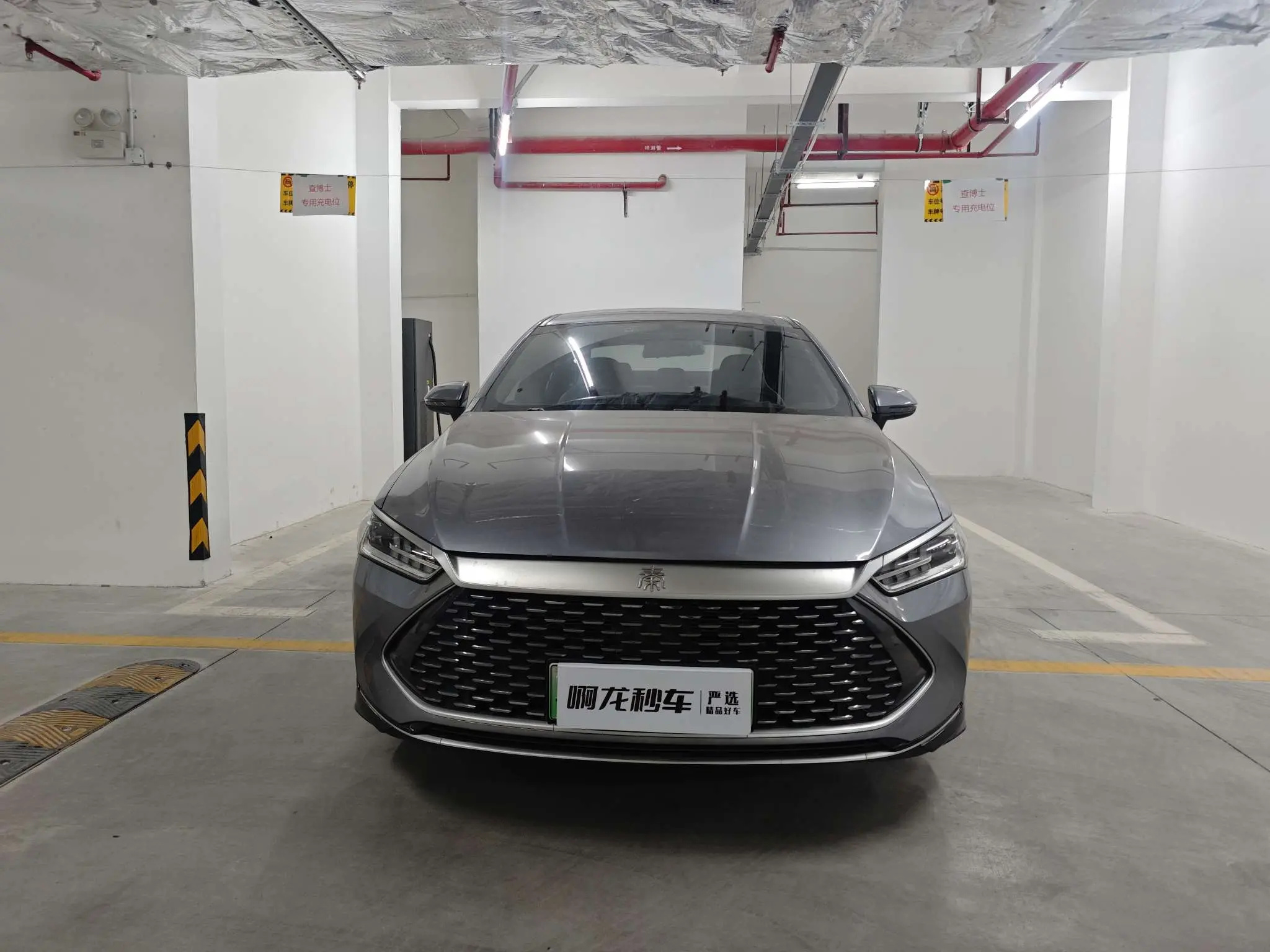 BYD Qin PLUS DM  из Китая