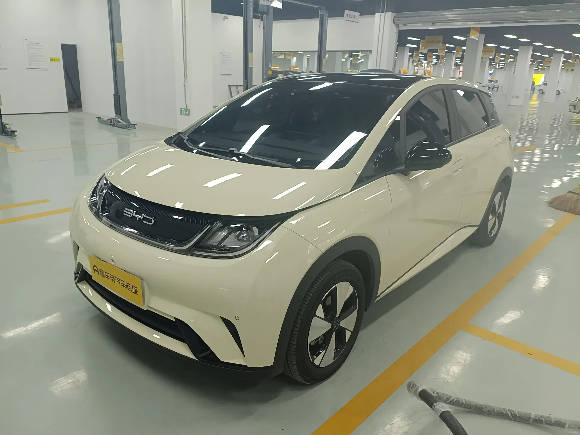 BYD Dolphin  из Китая