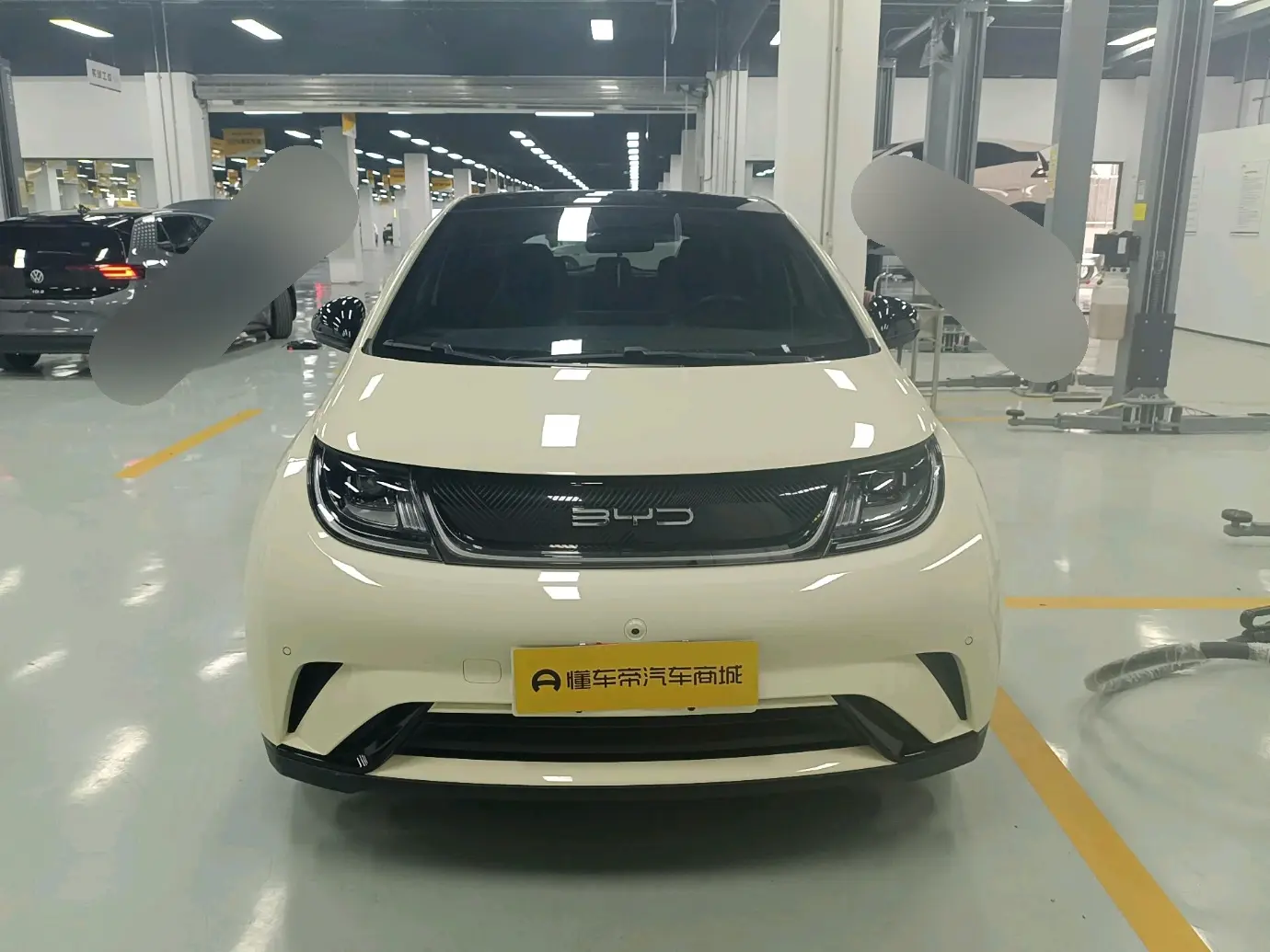 BYD Dolphin  из Китая