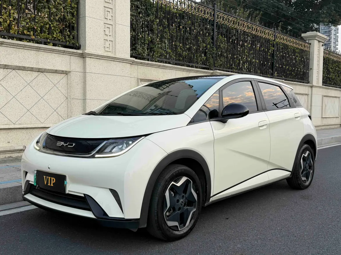BYD Dolphin  из Китая