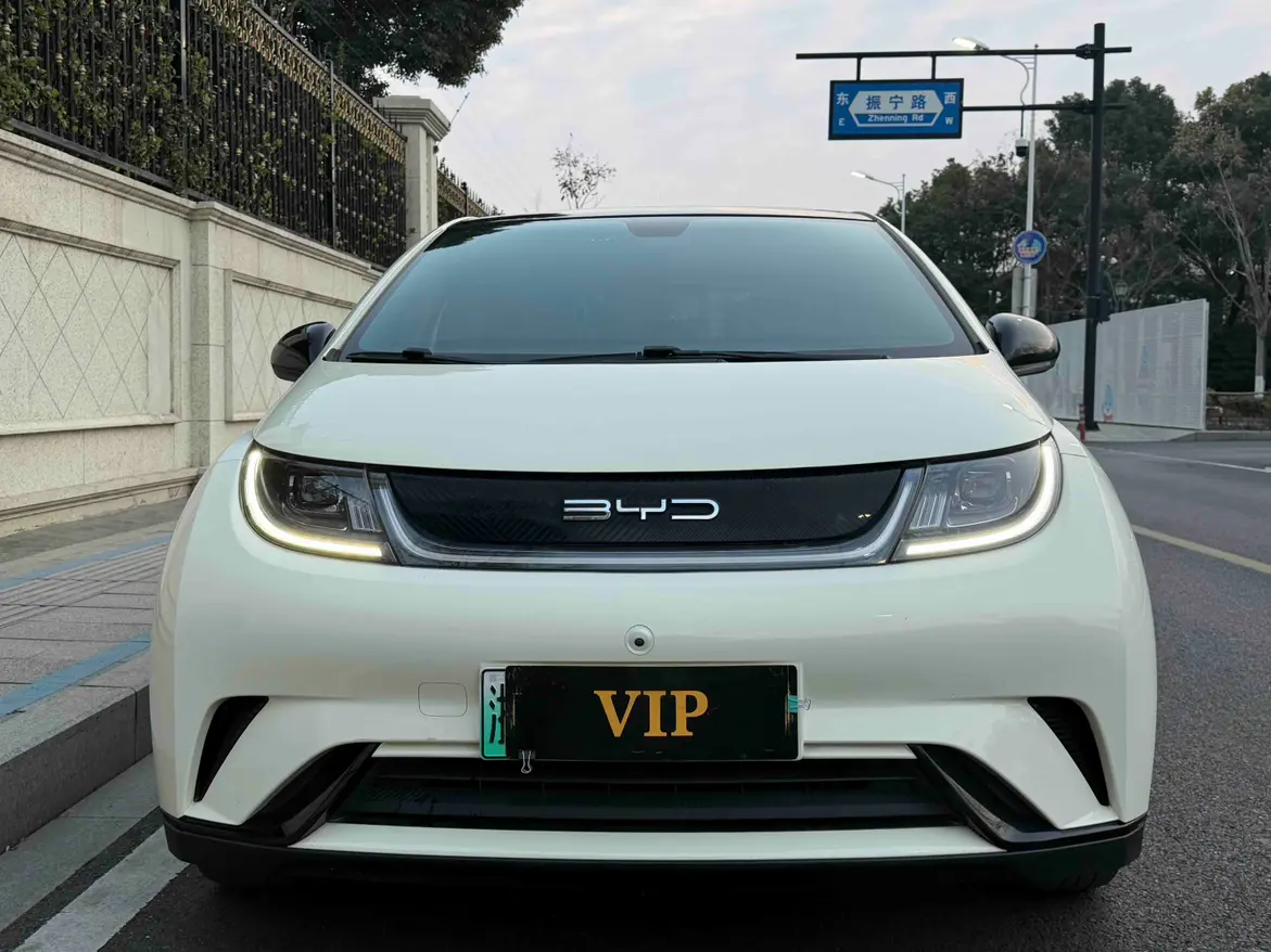 BYD Dolphin  из Китая