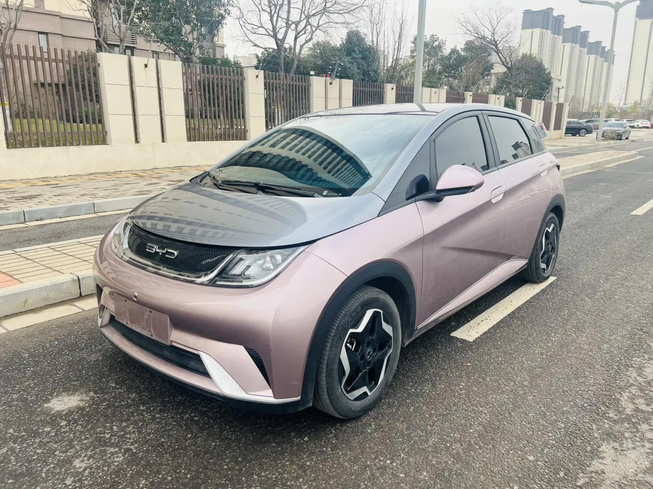 BYD Dolphin  из Китая