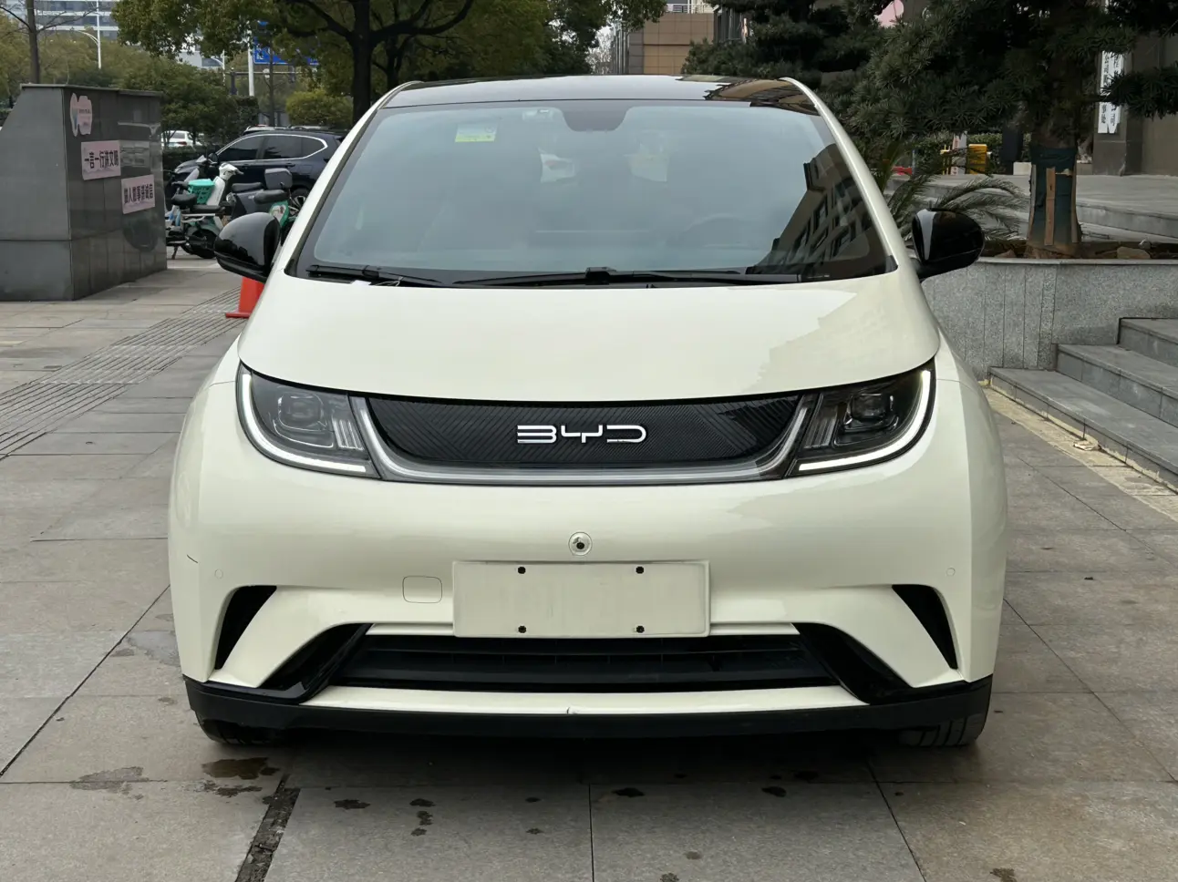 BYD Dolphin  из Китая