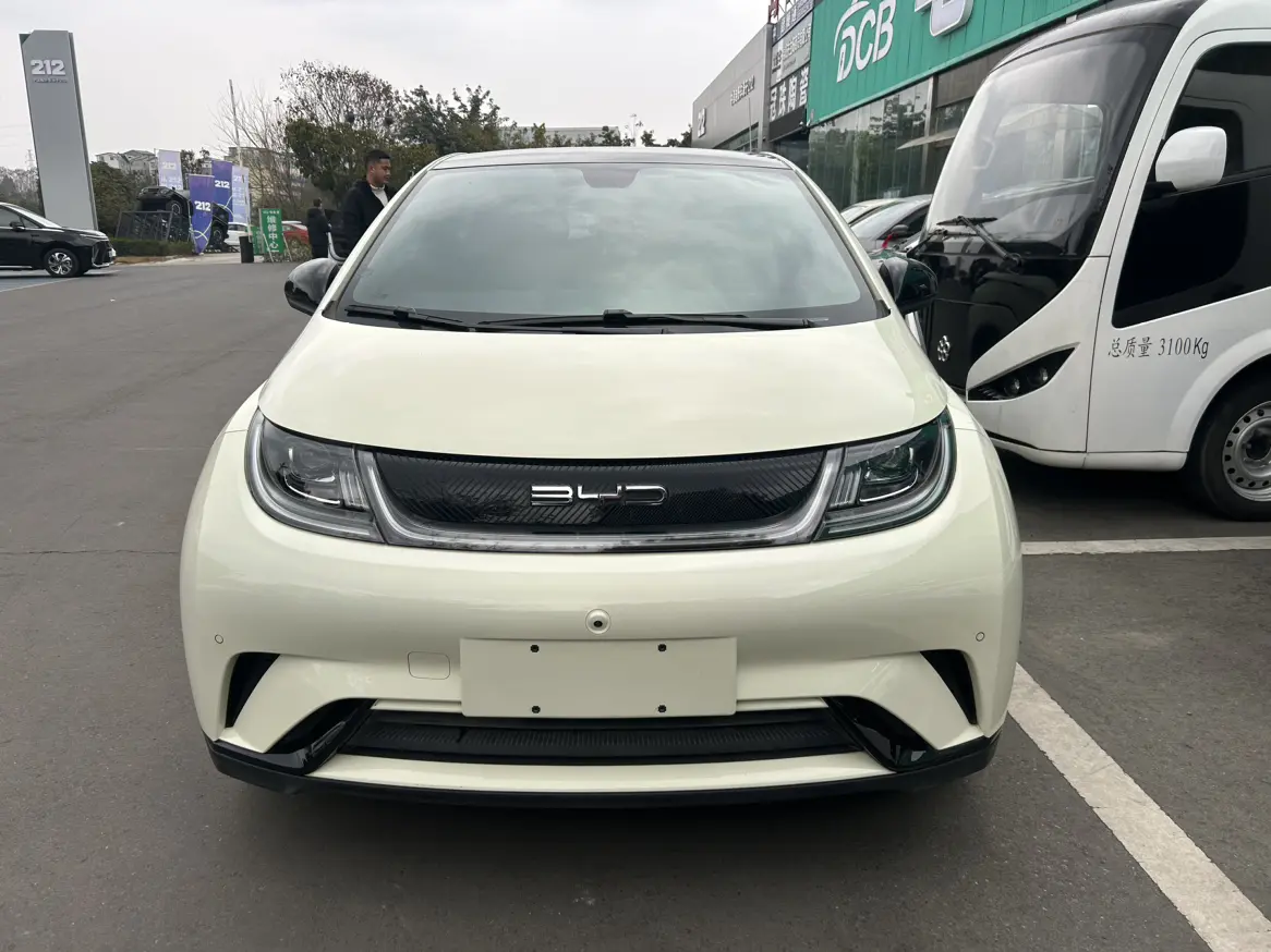 BYD Dolphin  из Китая
