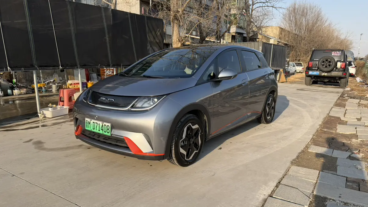 BYD Dolphin  из Китая
