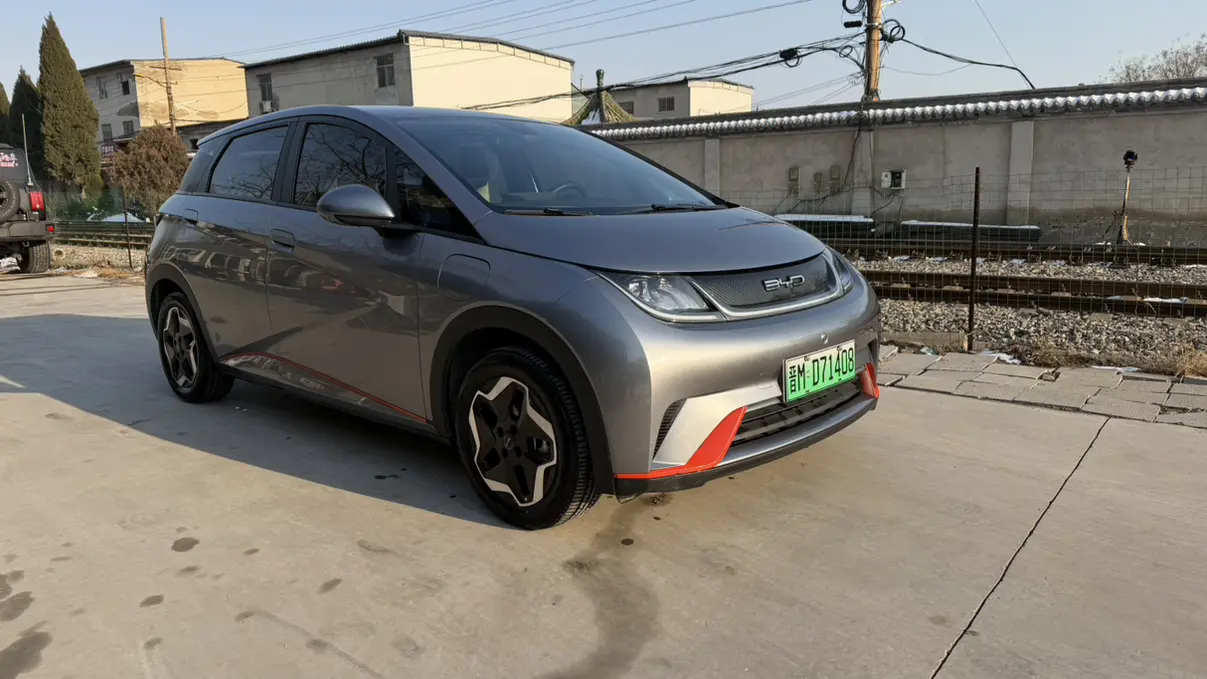 BYD Dolphin  из Китая