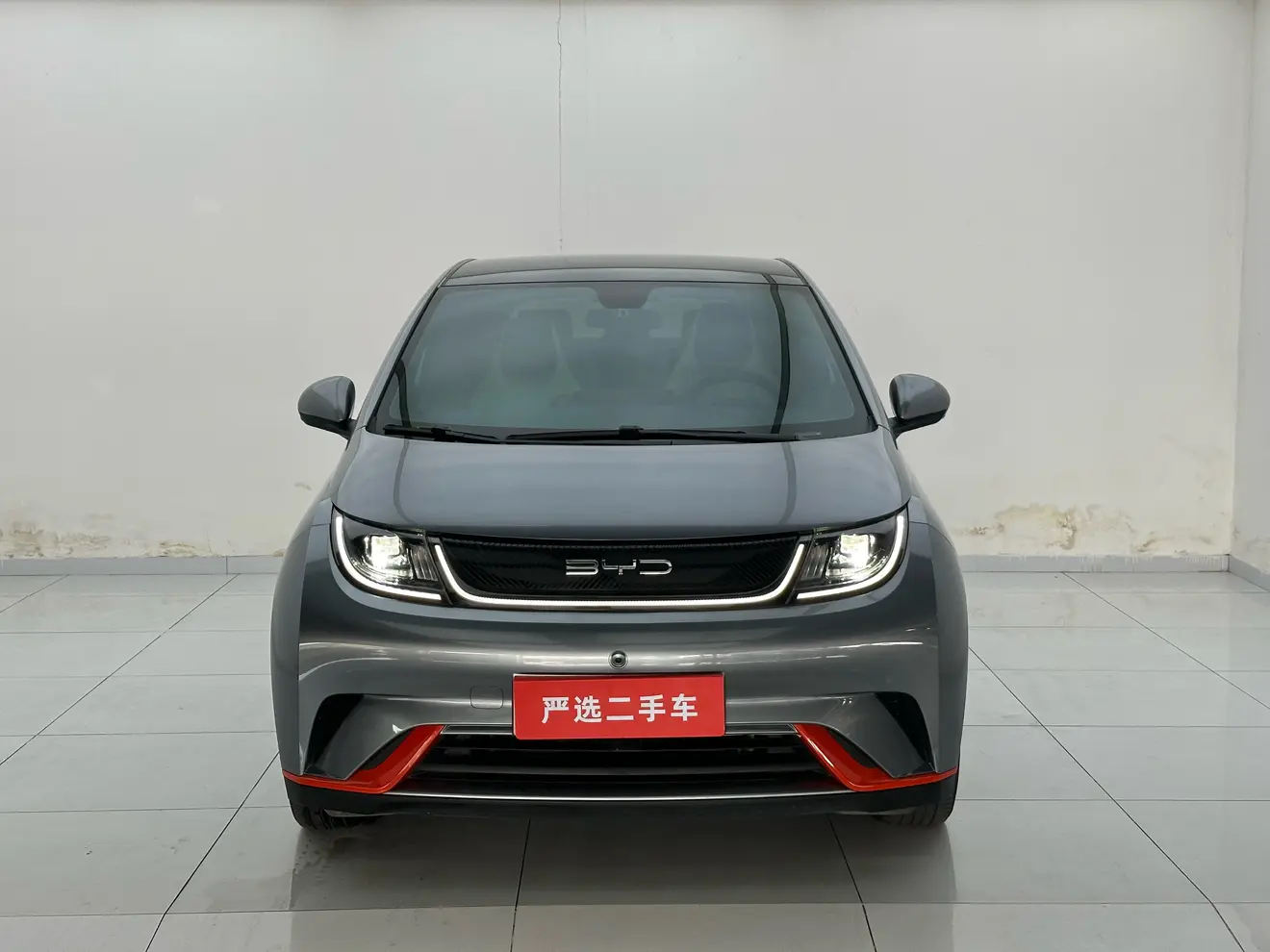 BYD Dolphin  из Китая