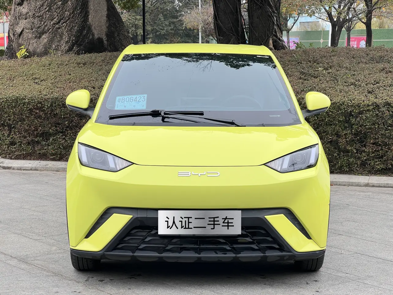 BYD Seagull  из Китая