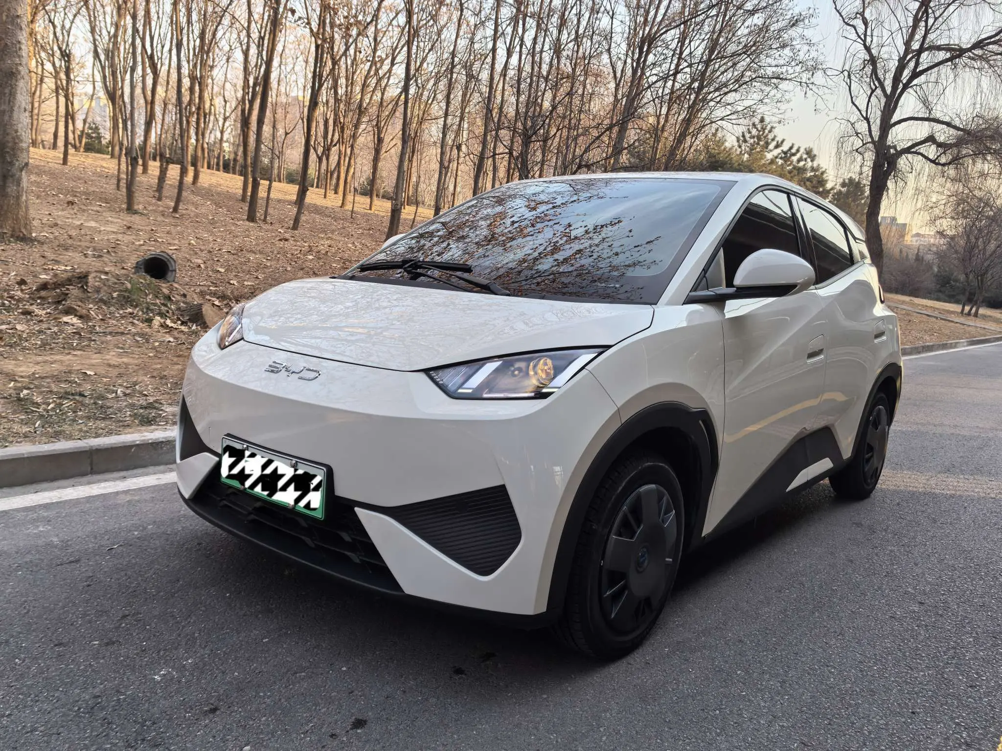 BYD Seagull  из Китая