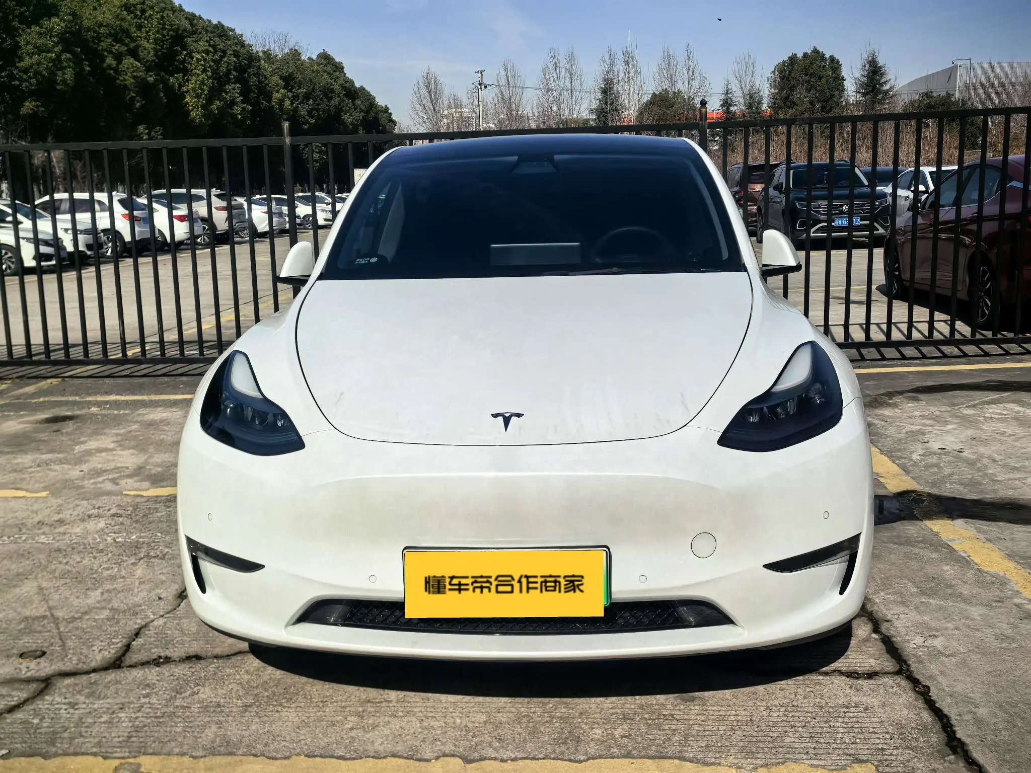 Tesla Model Y  из Китая