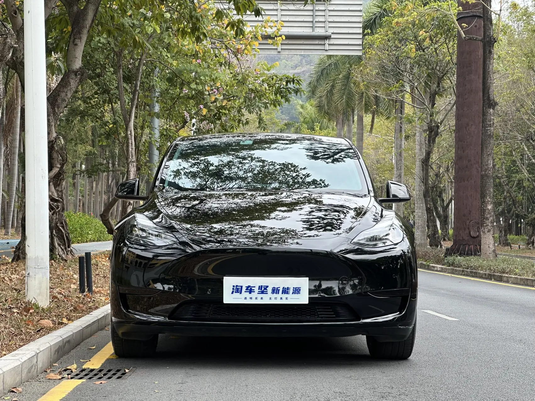 Tesla Model Y  из Китая
