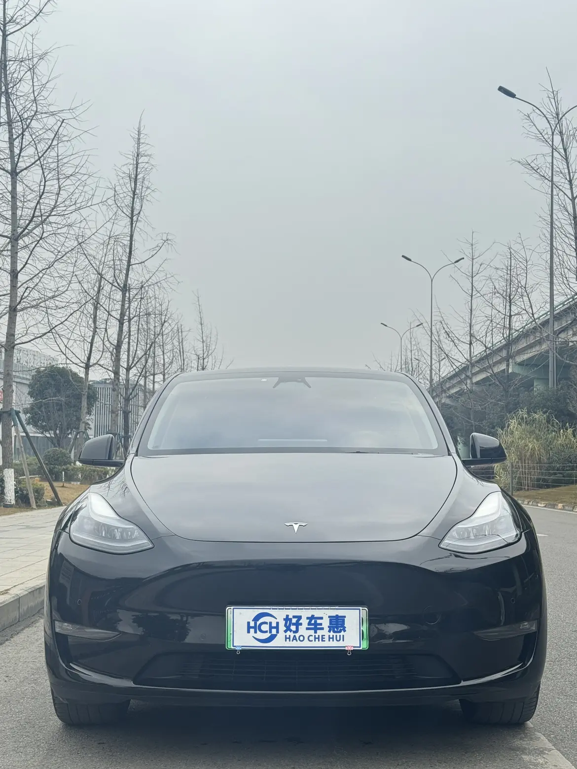 Tesla Model Y  из Китая