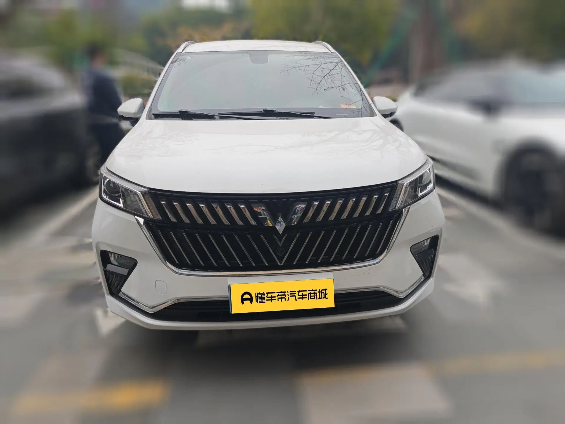 Wuling Jiachen  из Китая