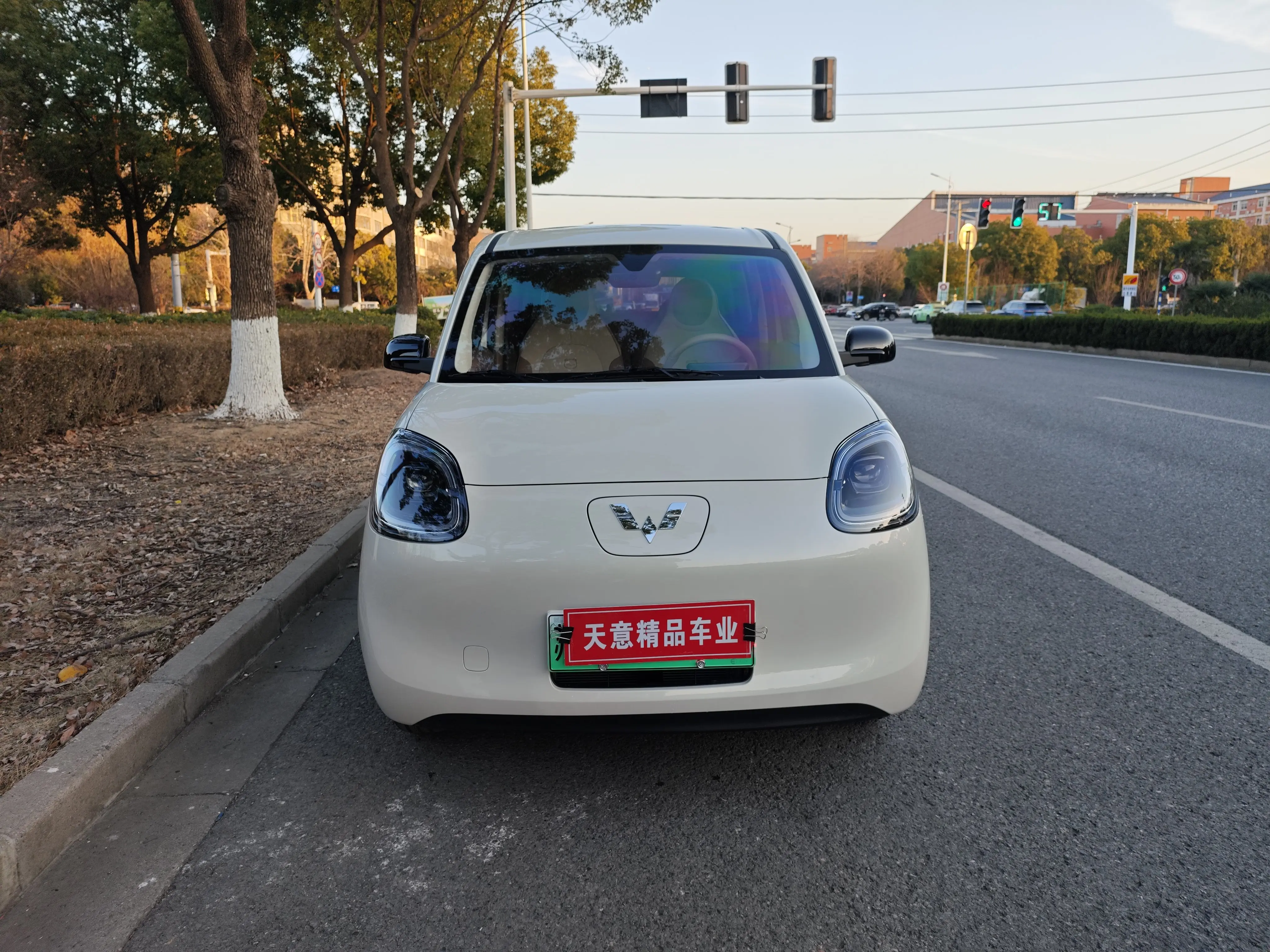 Wuling Hongguang MINIEV  из Китая