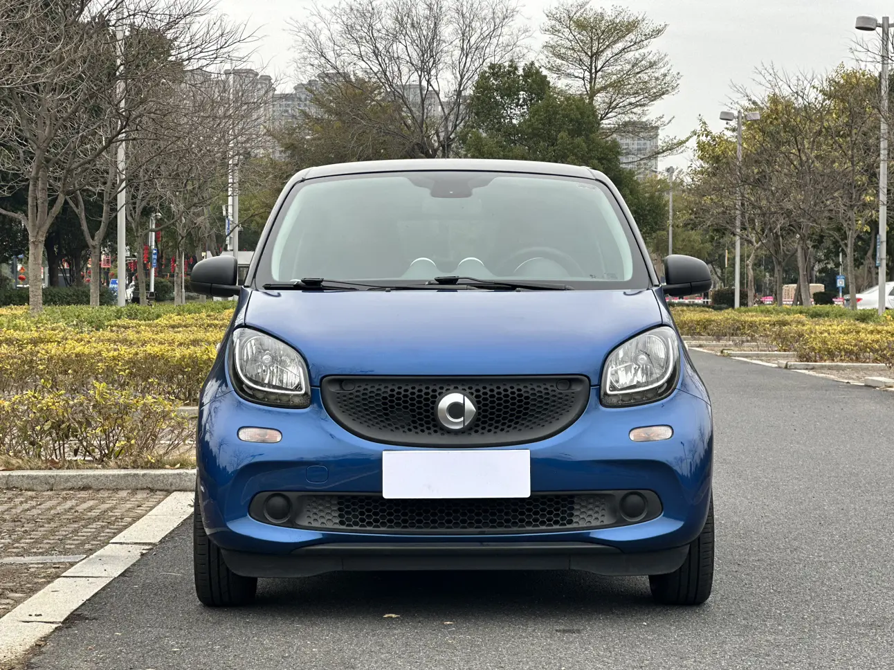 Smart forfour  из Китая