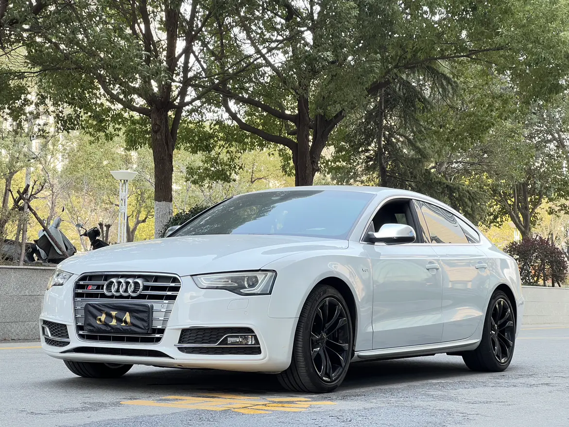 Audi S5  из Китая