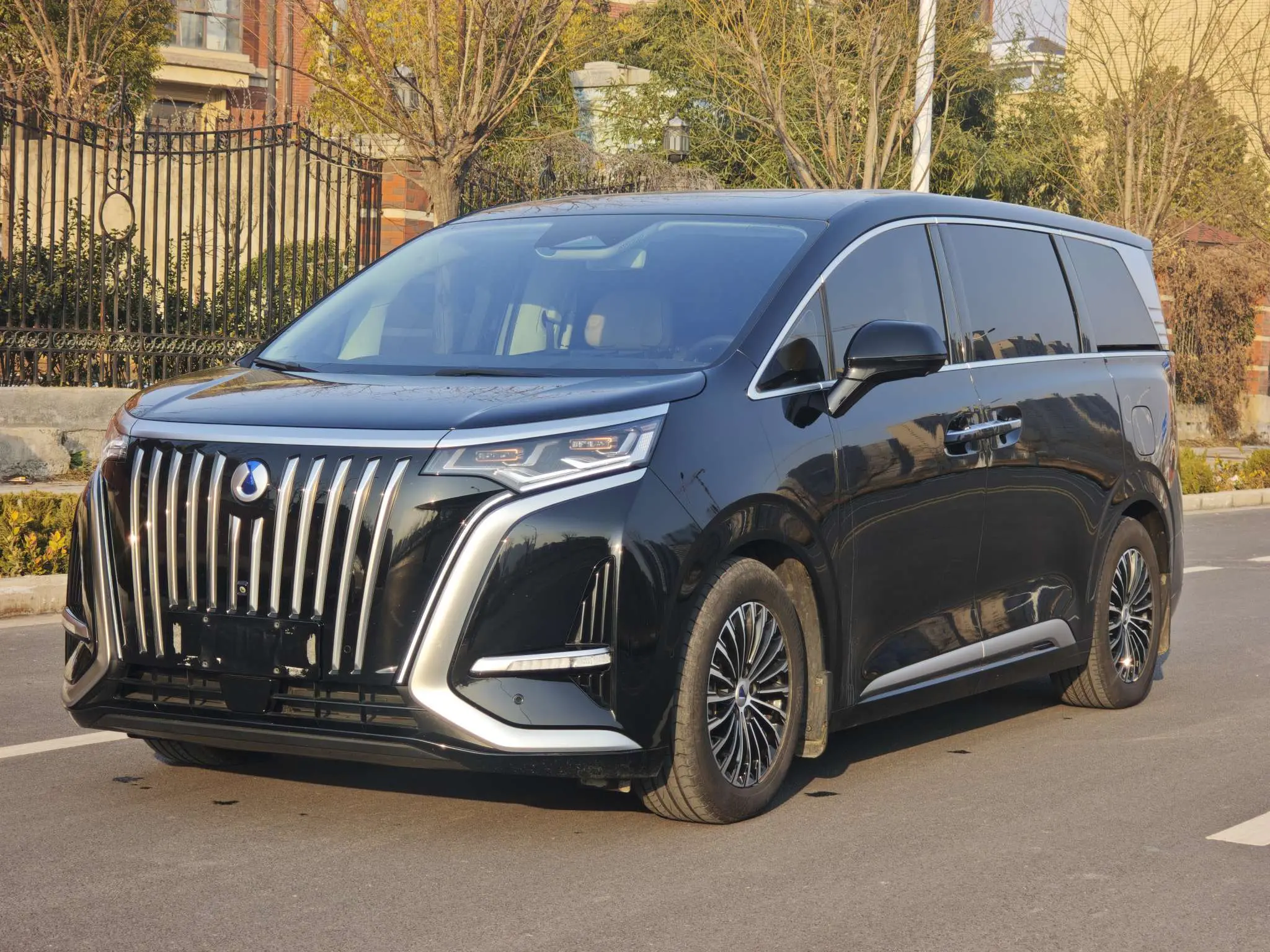 Denza D9 EV  из Китая