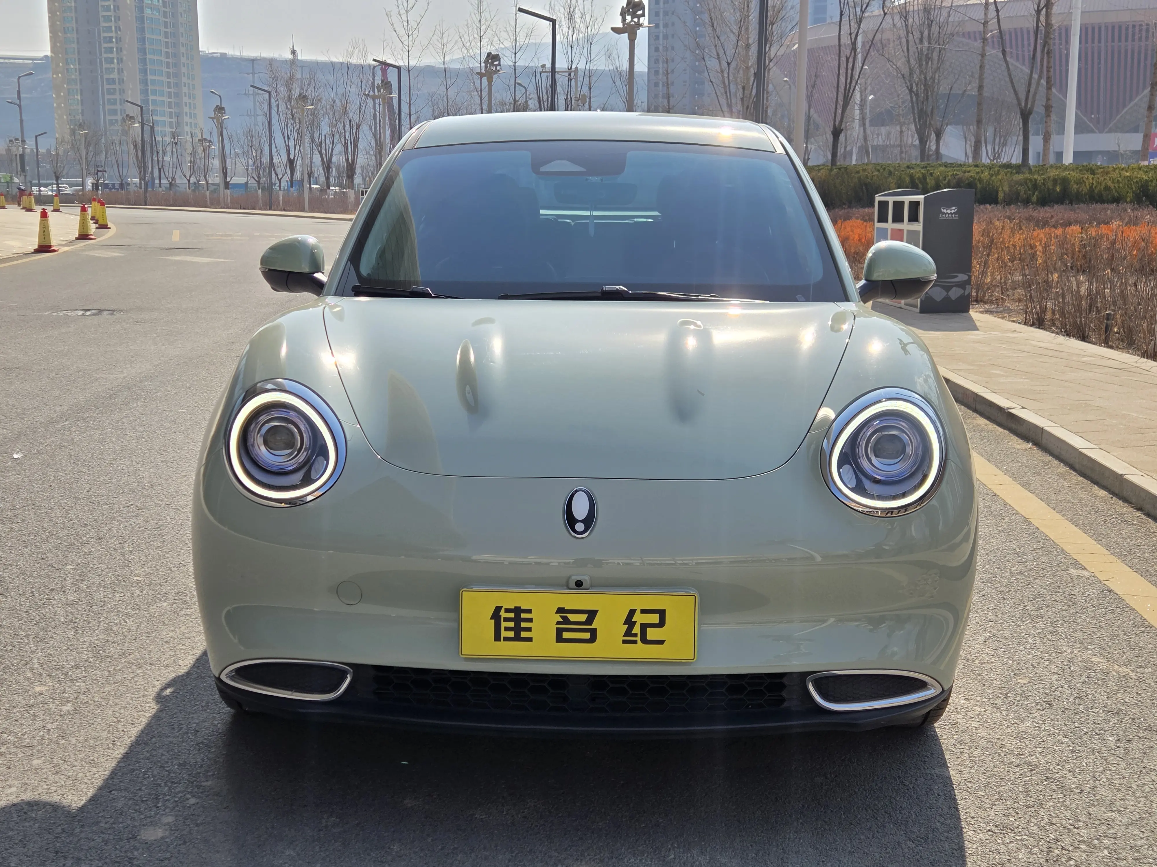 ORA Euler good cat  из Китая