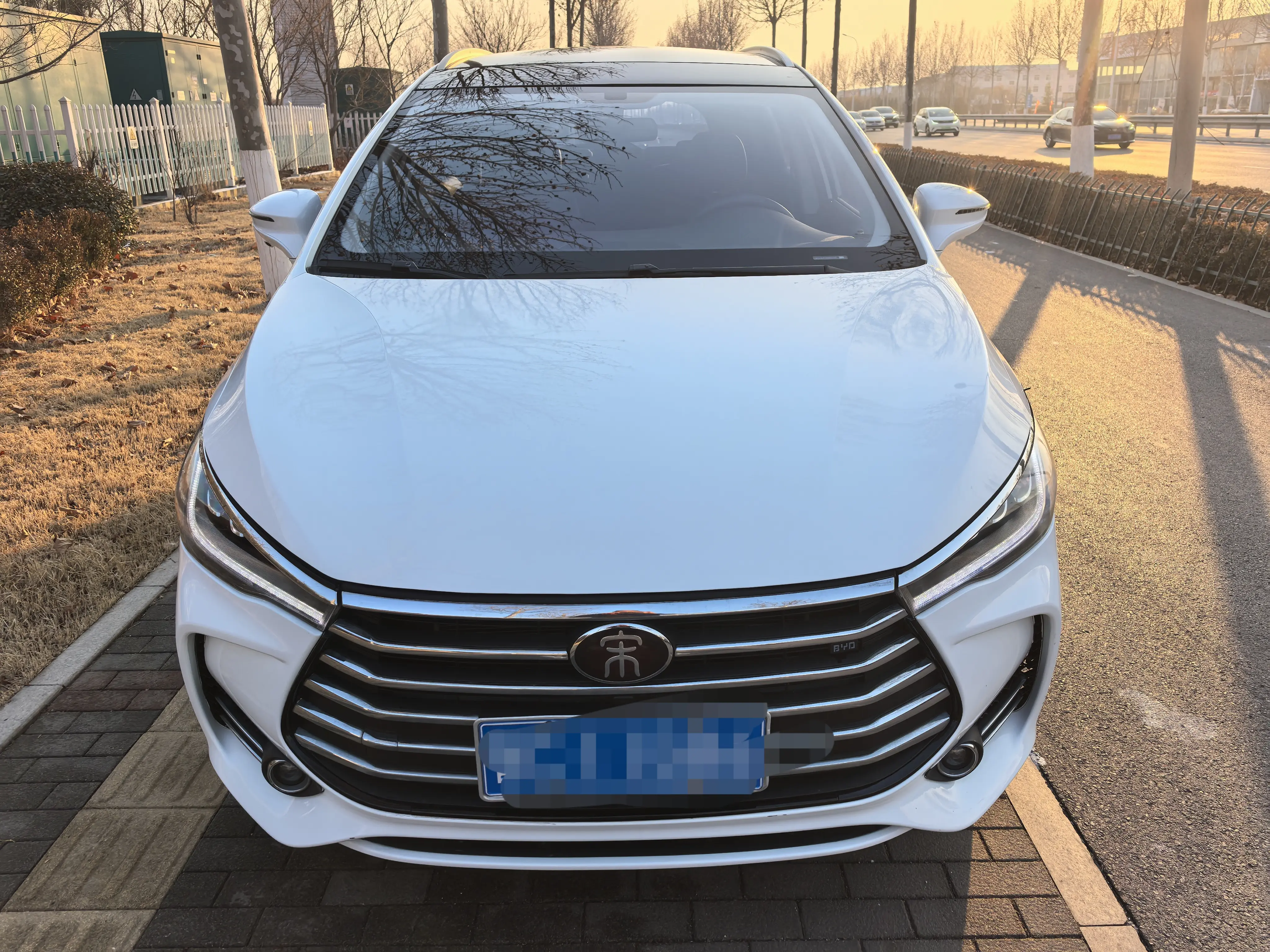 BYD Song MAX  из Китая