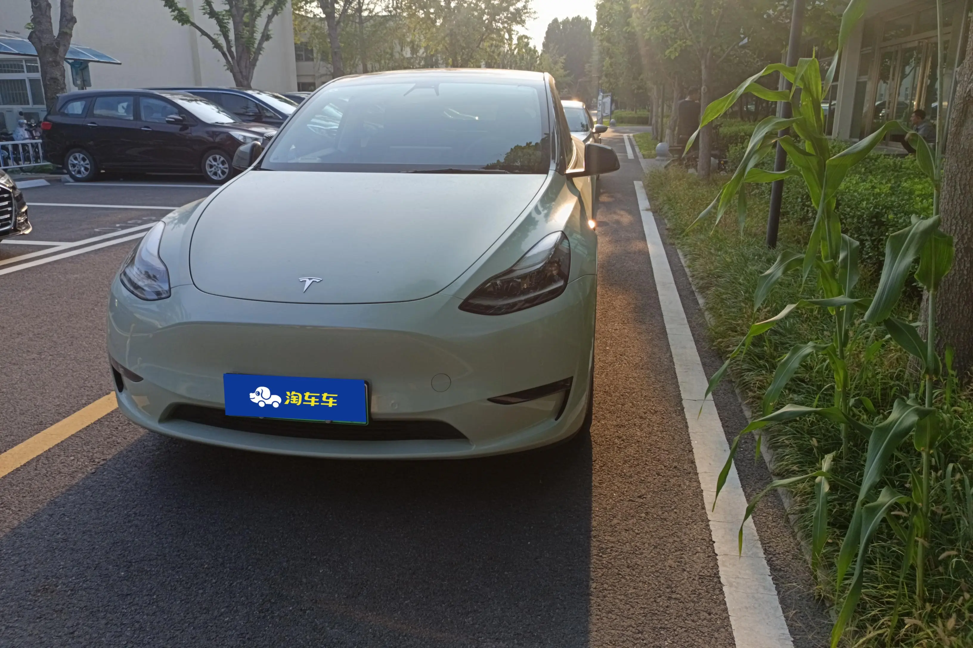 Tesla Model Y  из Китая