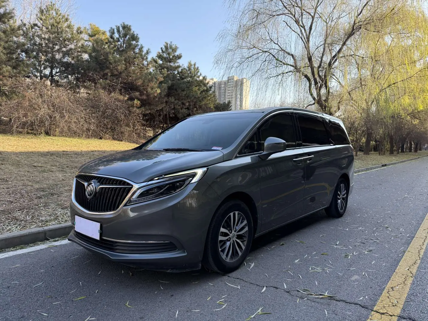 Buick GL8  из Китая