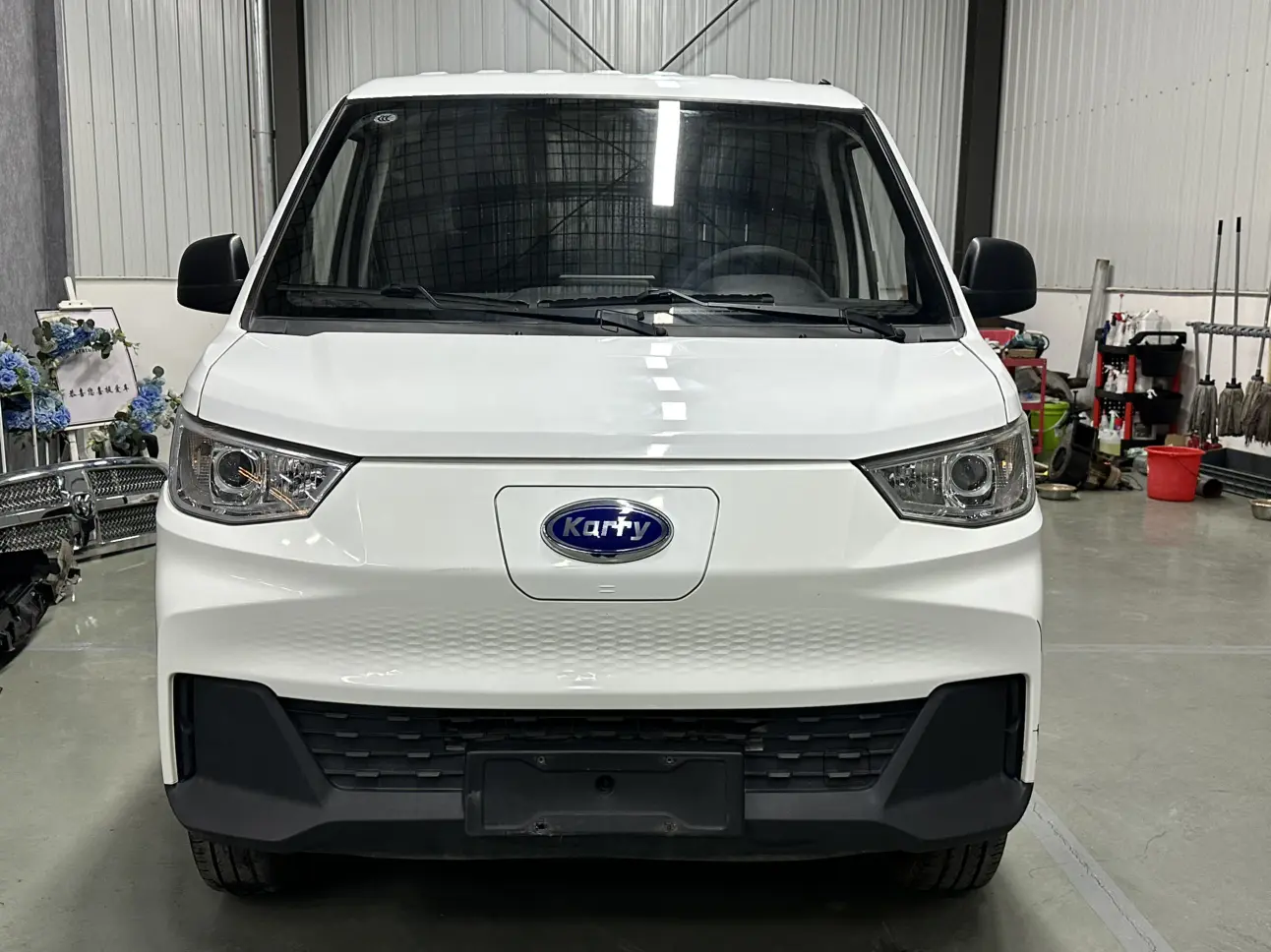 Carrier Finless porpoise  из Китая