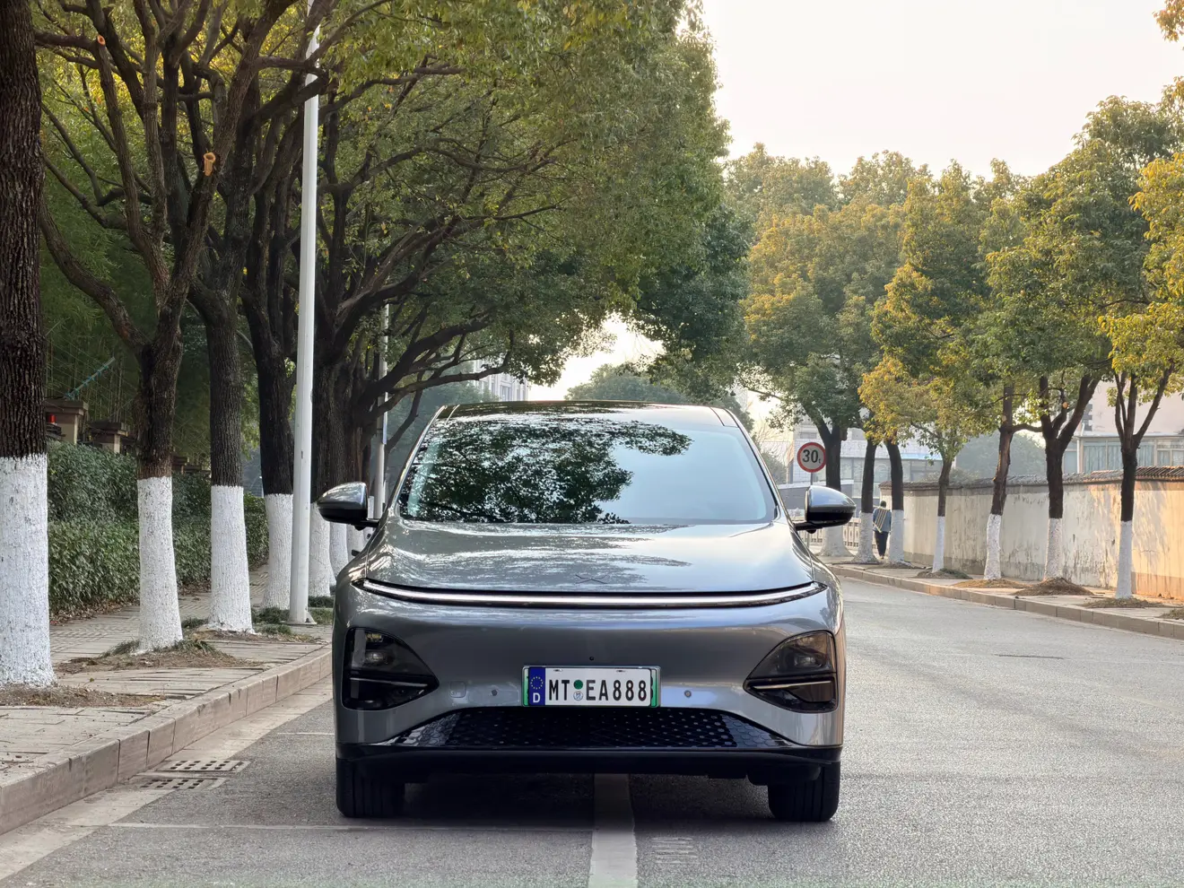 Xpeng G6  из Китая