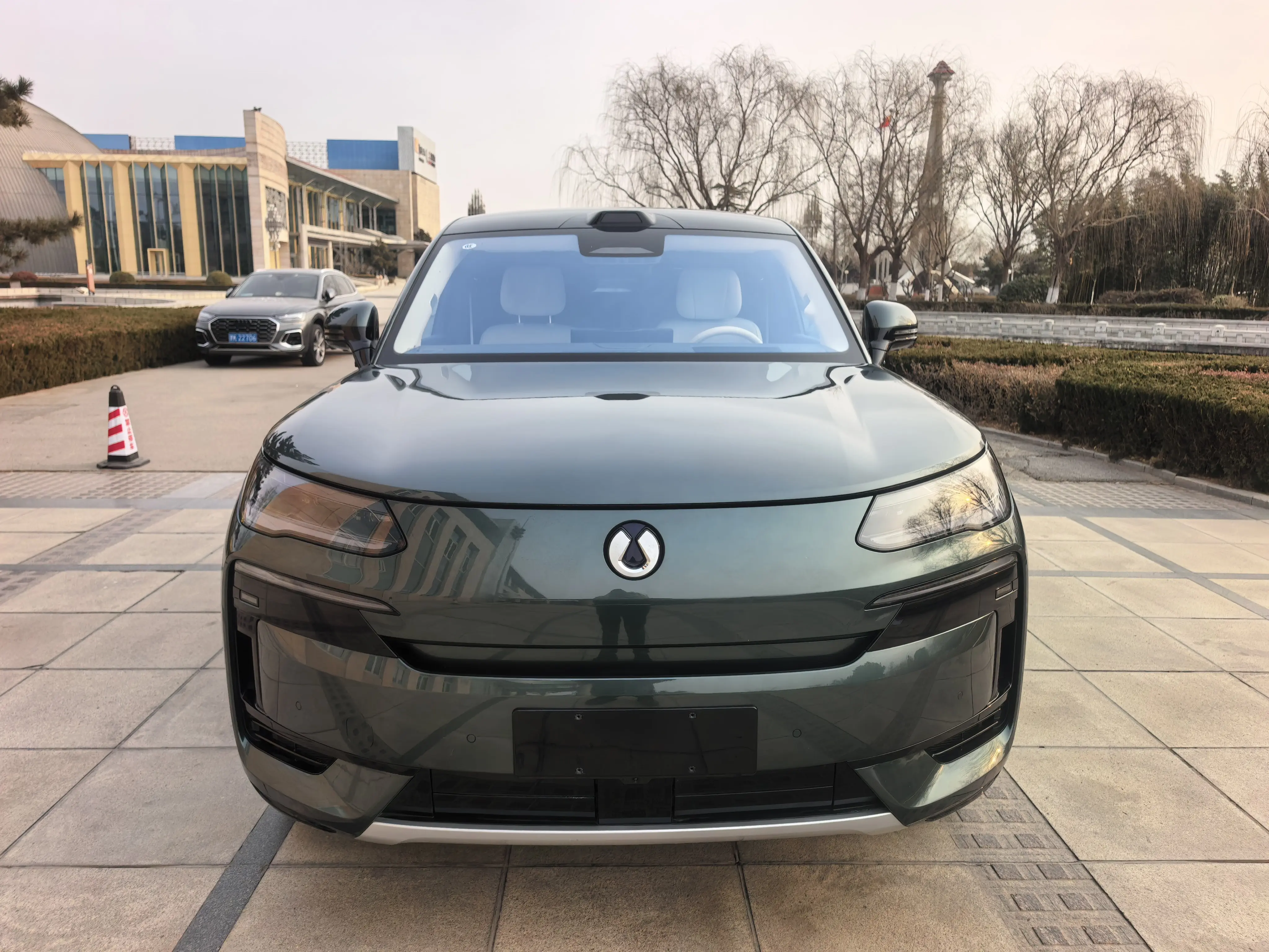 Denza Tengzhong N9 DM  из Китая