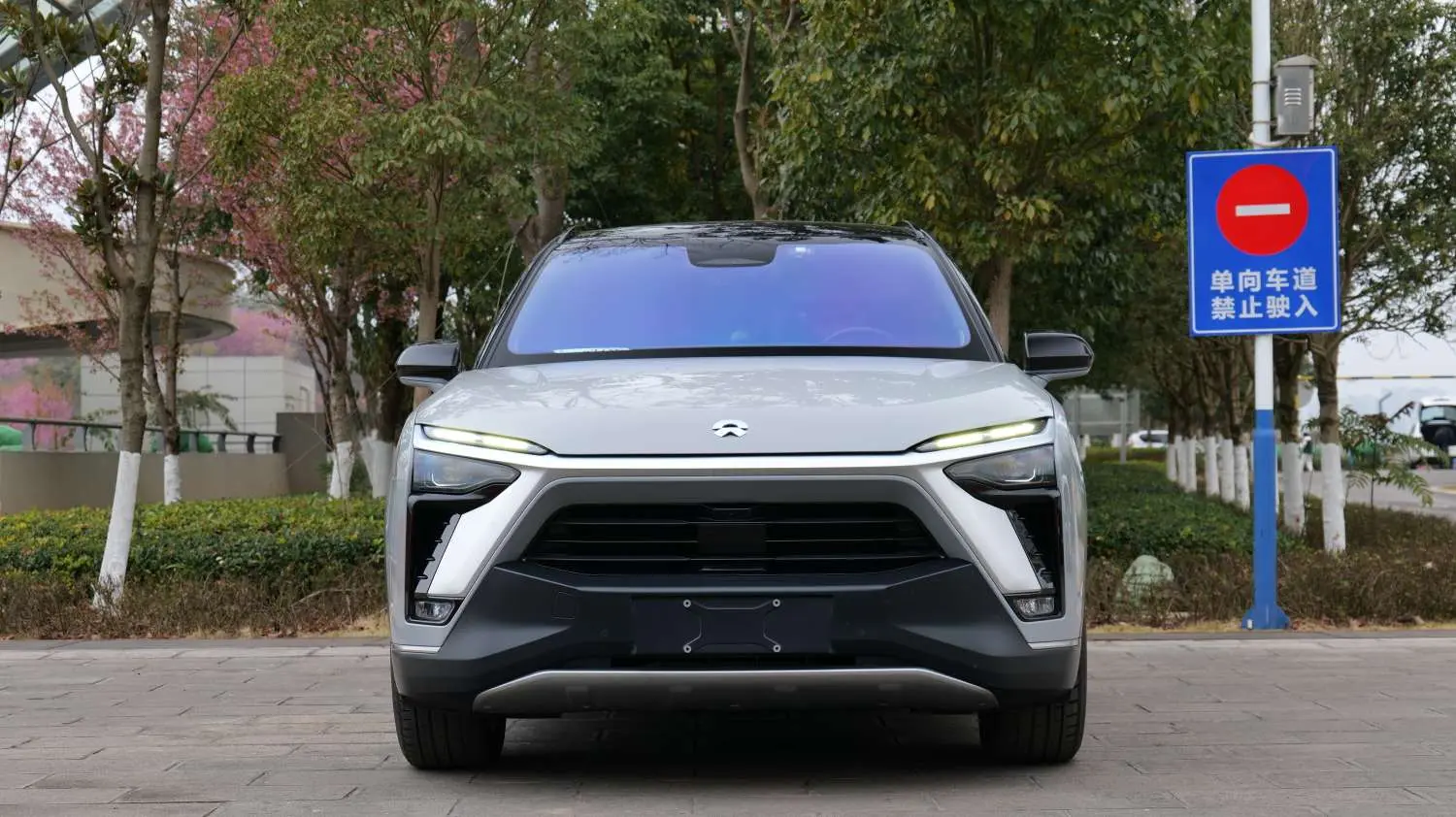 NIO ES8  из Китая