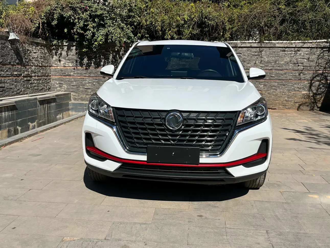 Dongfeng Fengon 500  из Китая