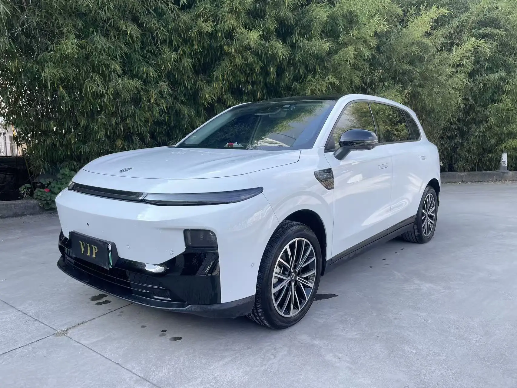 Leapmotor B10  из Китая