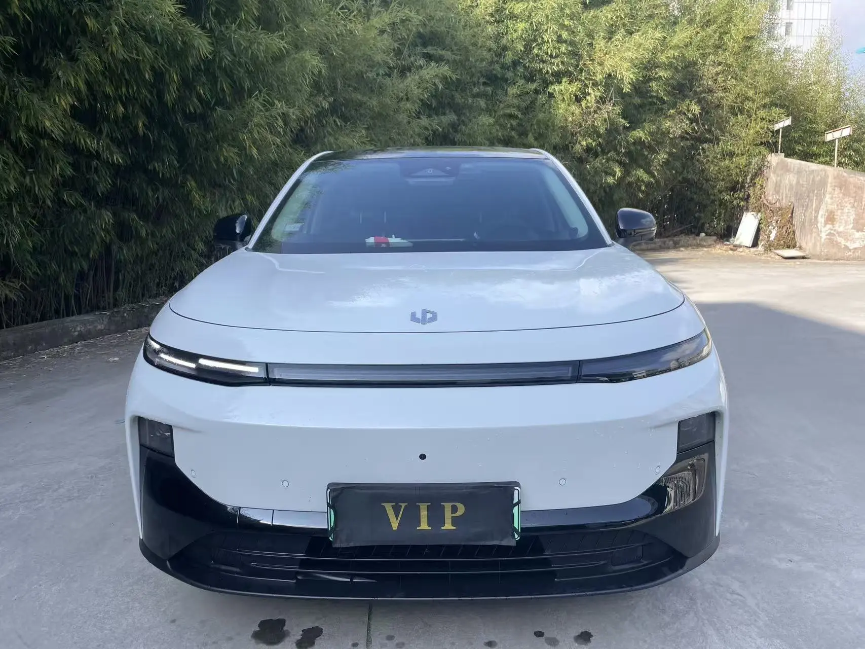 Leapmotor B10  из Китая