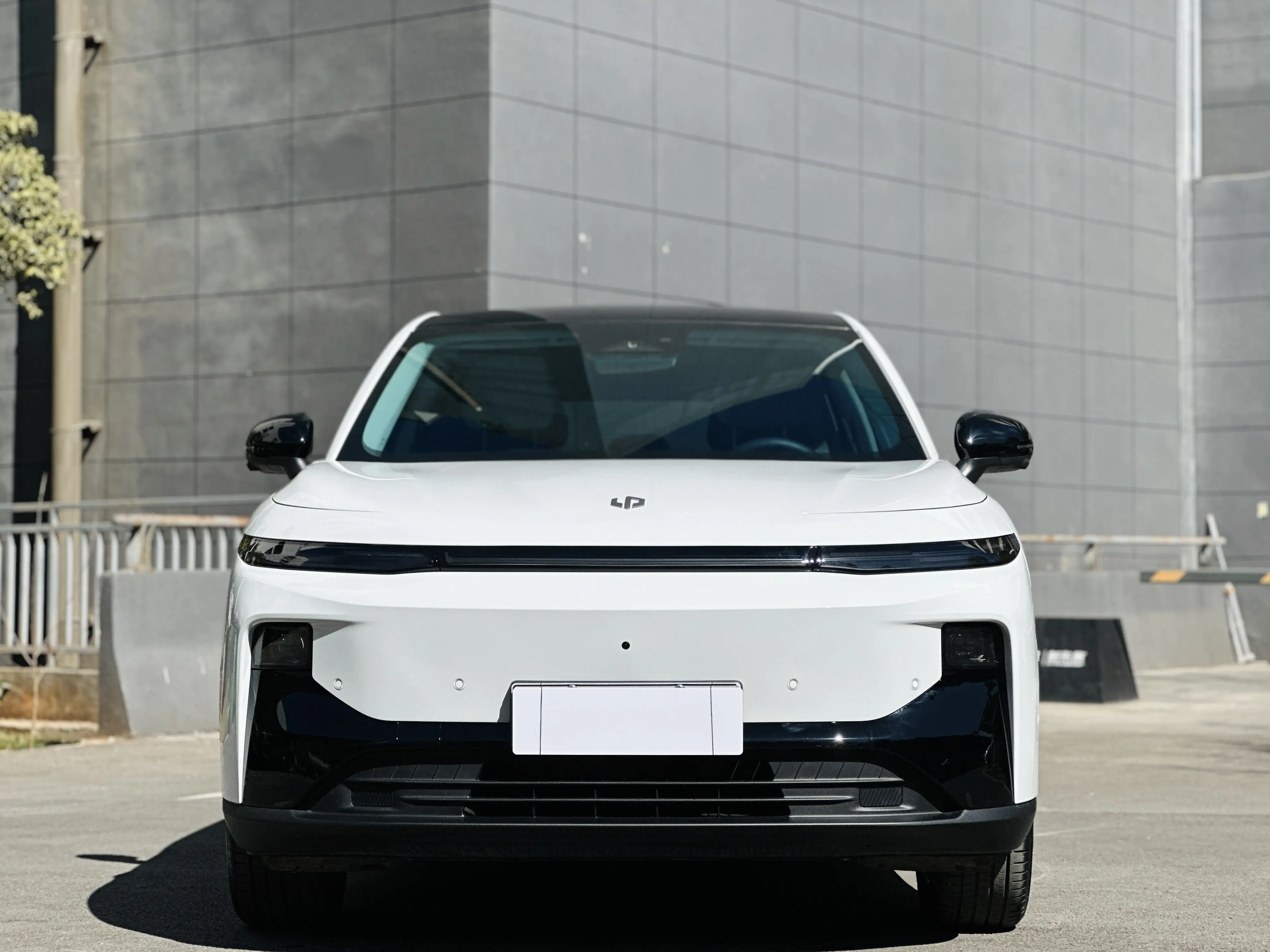 Leapmotor B10  из Китая