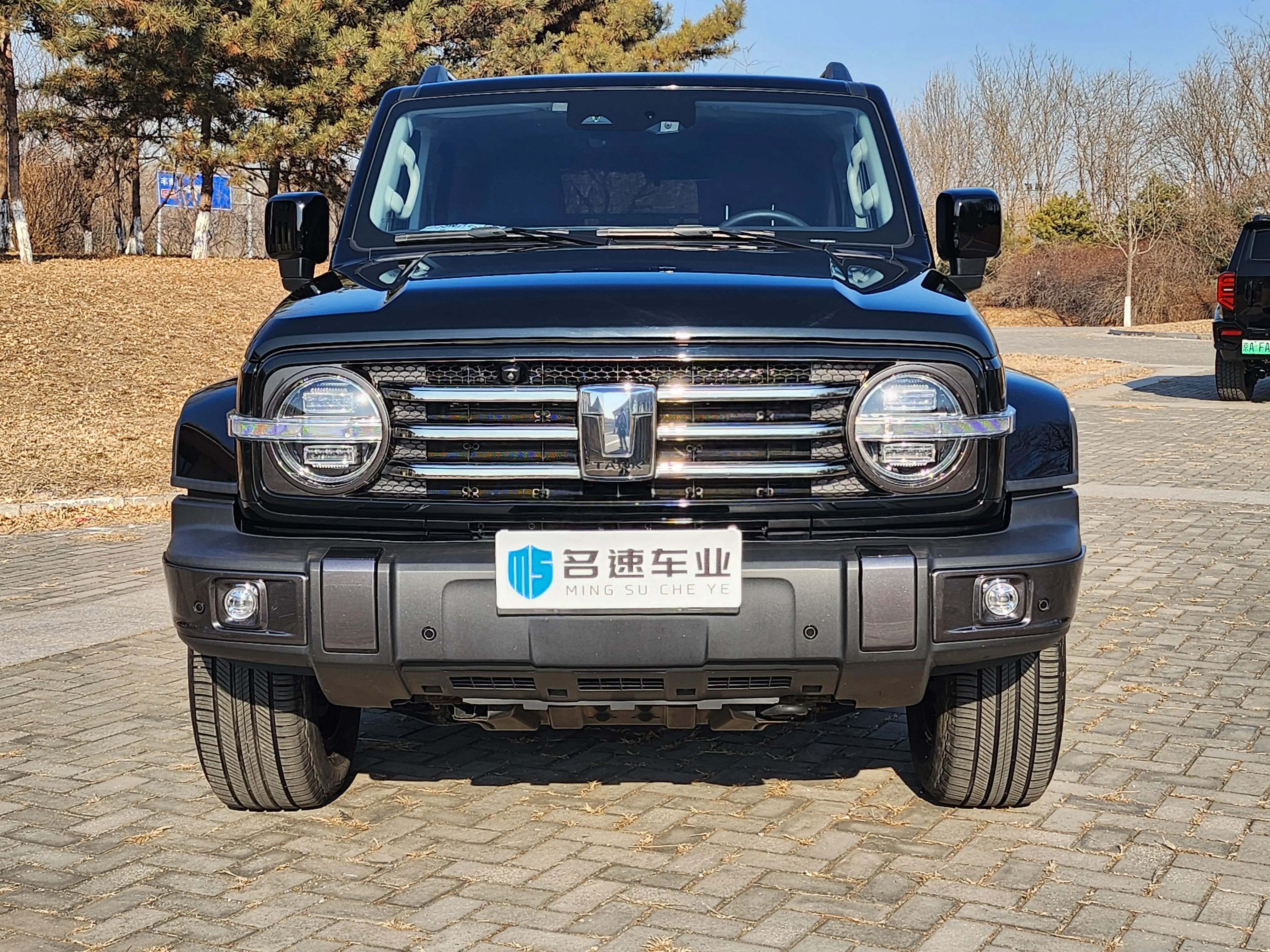 Tank 300  из Китая