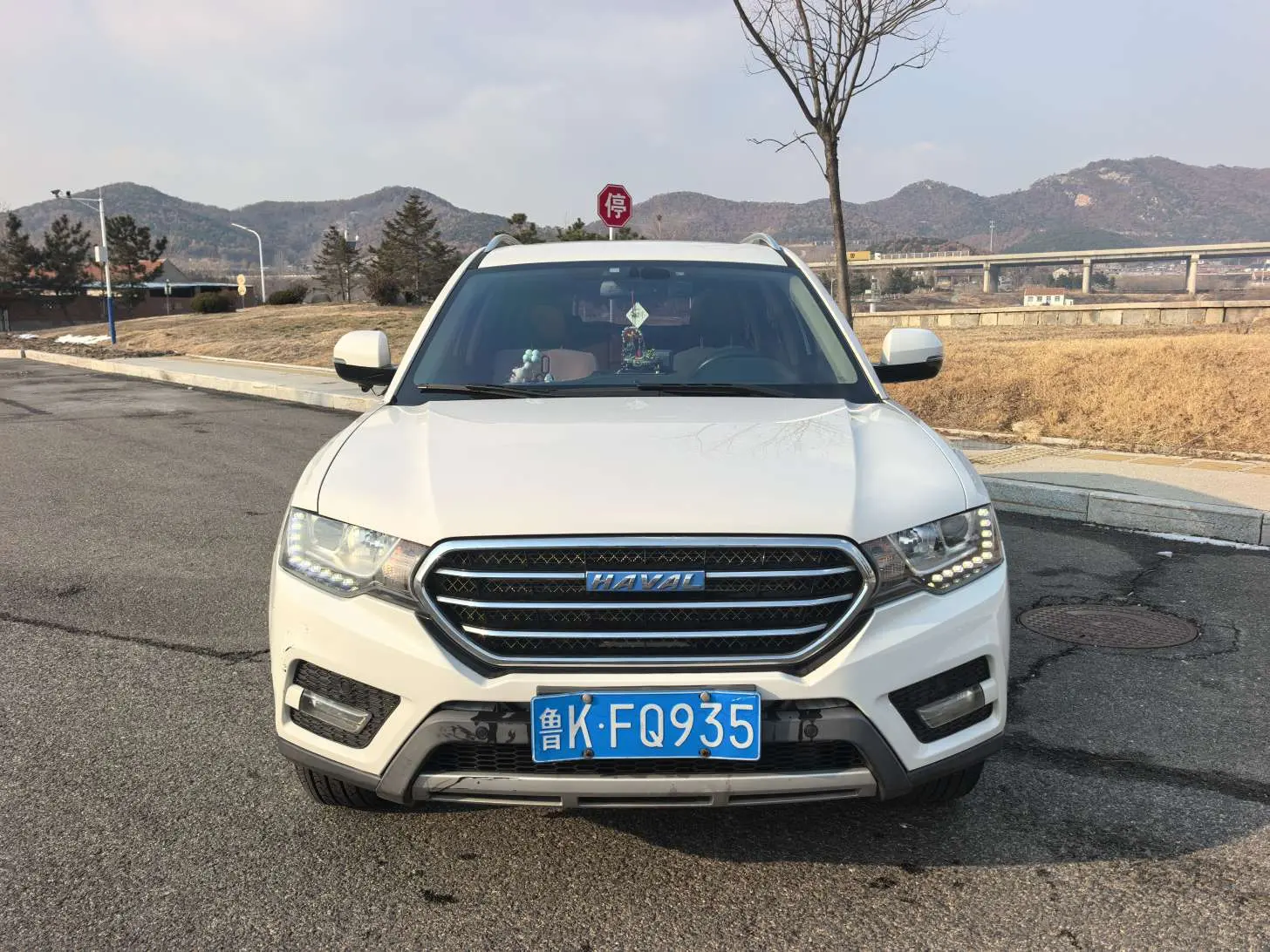 Haval H6 Coupe  из Китая