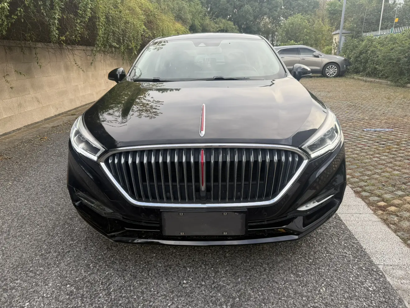 Hongqi H5 classic  из Китая